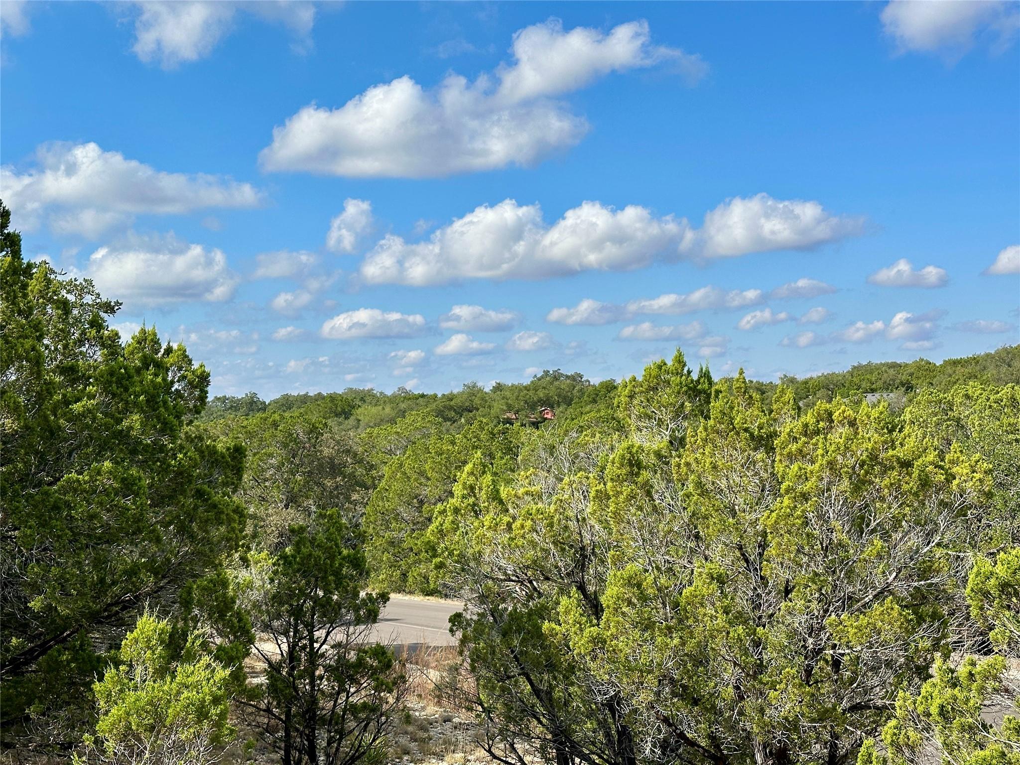 View of wooded area