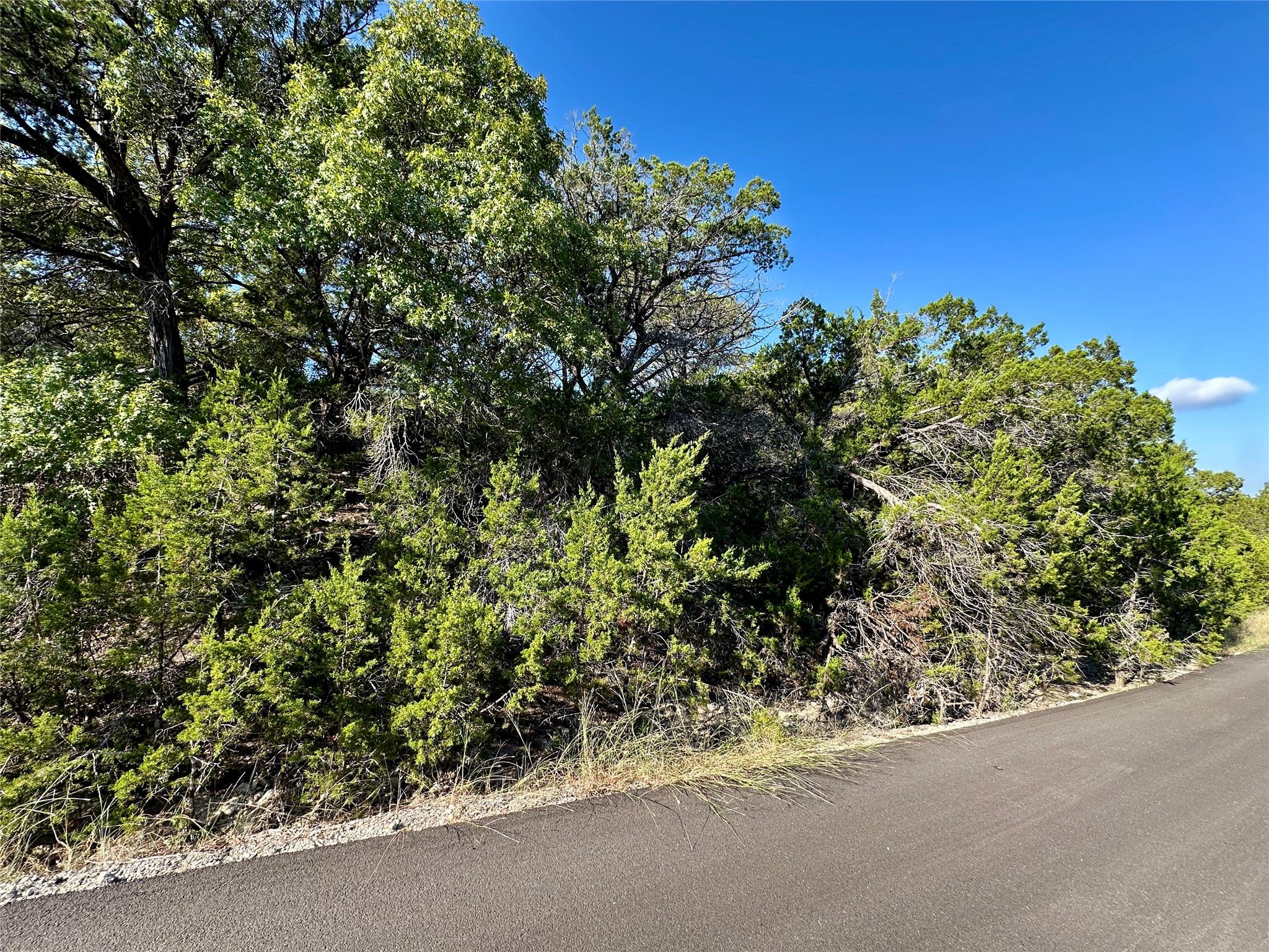 View of asphalt road