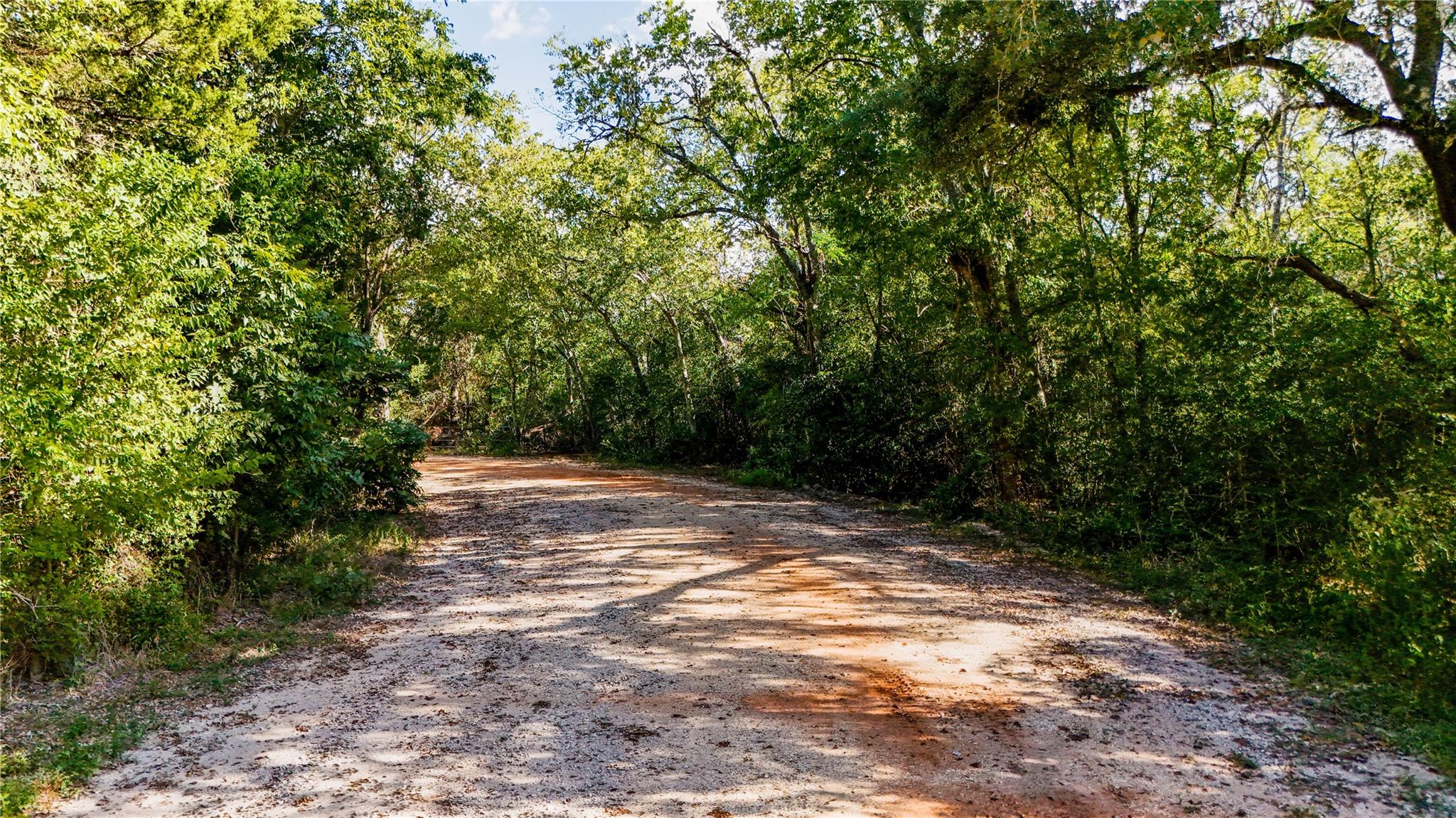 View of dirt / gravel road featuring a view of tr