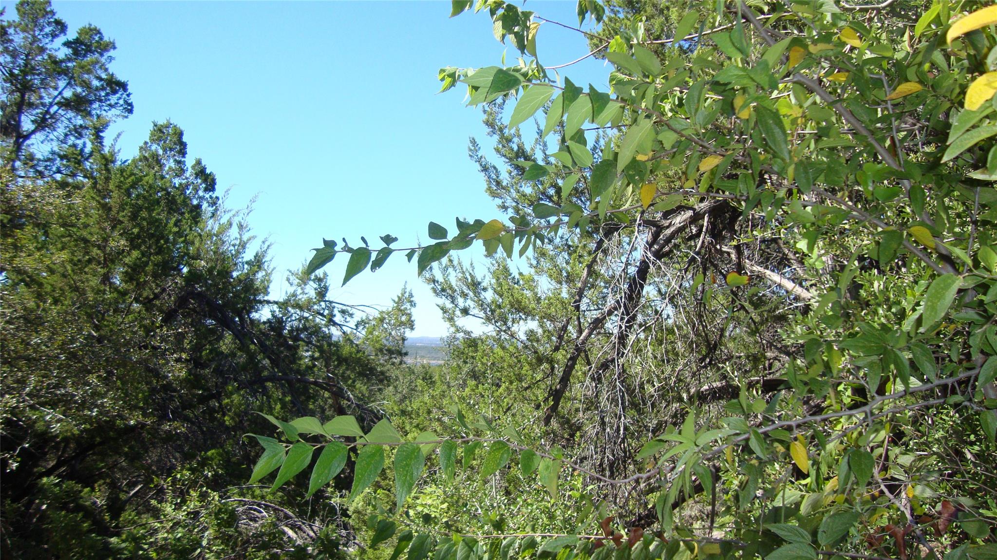 View of nature