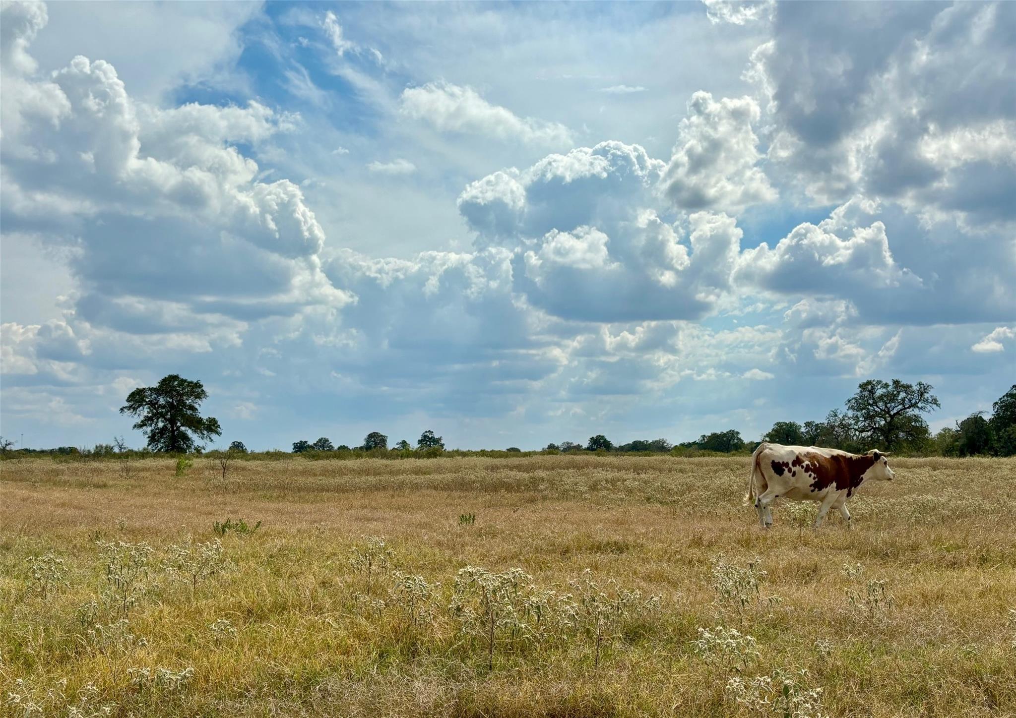View of nature featuring rural landscape and agri