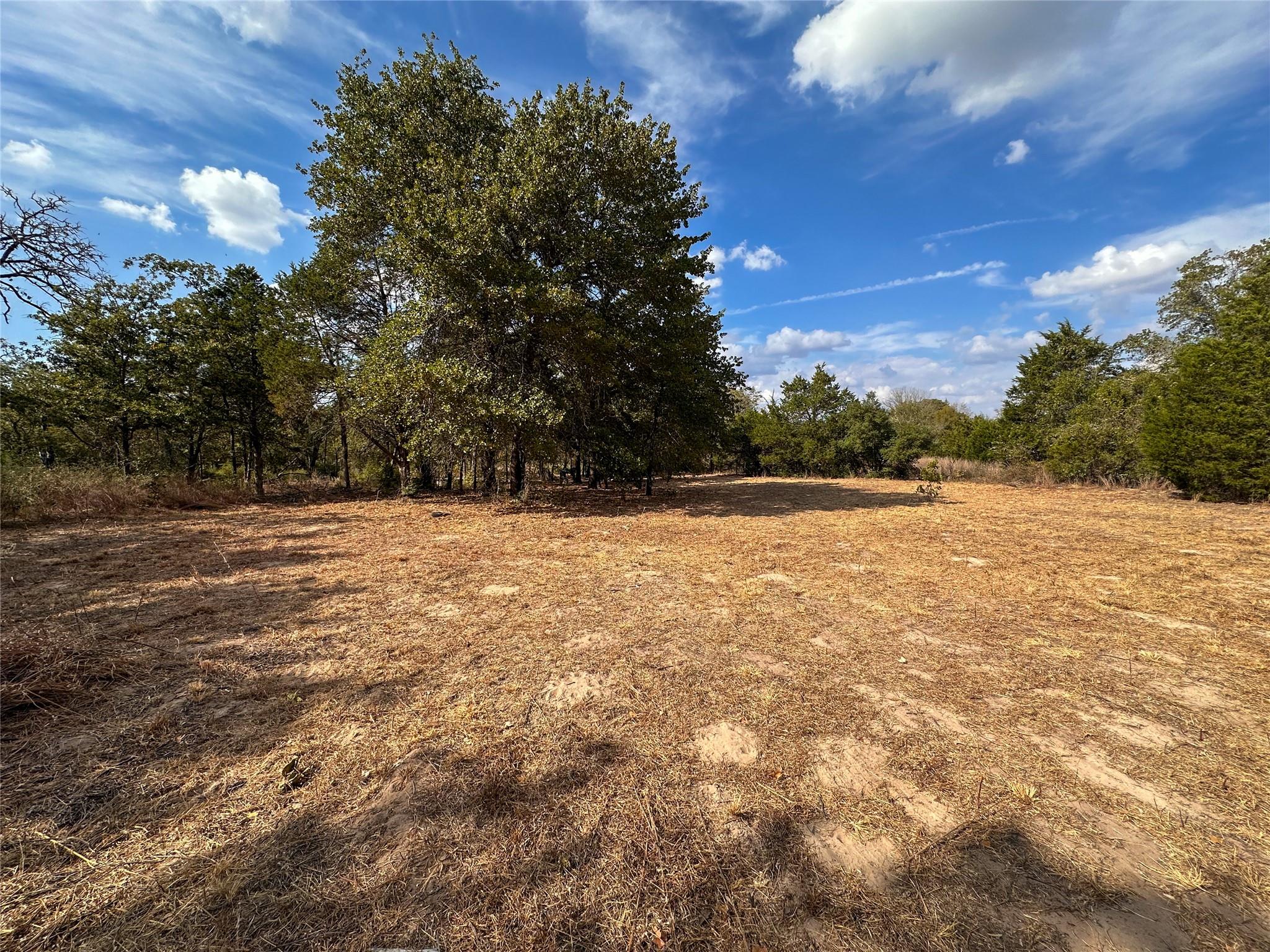 View of local wilderness