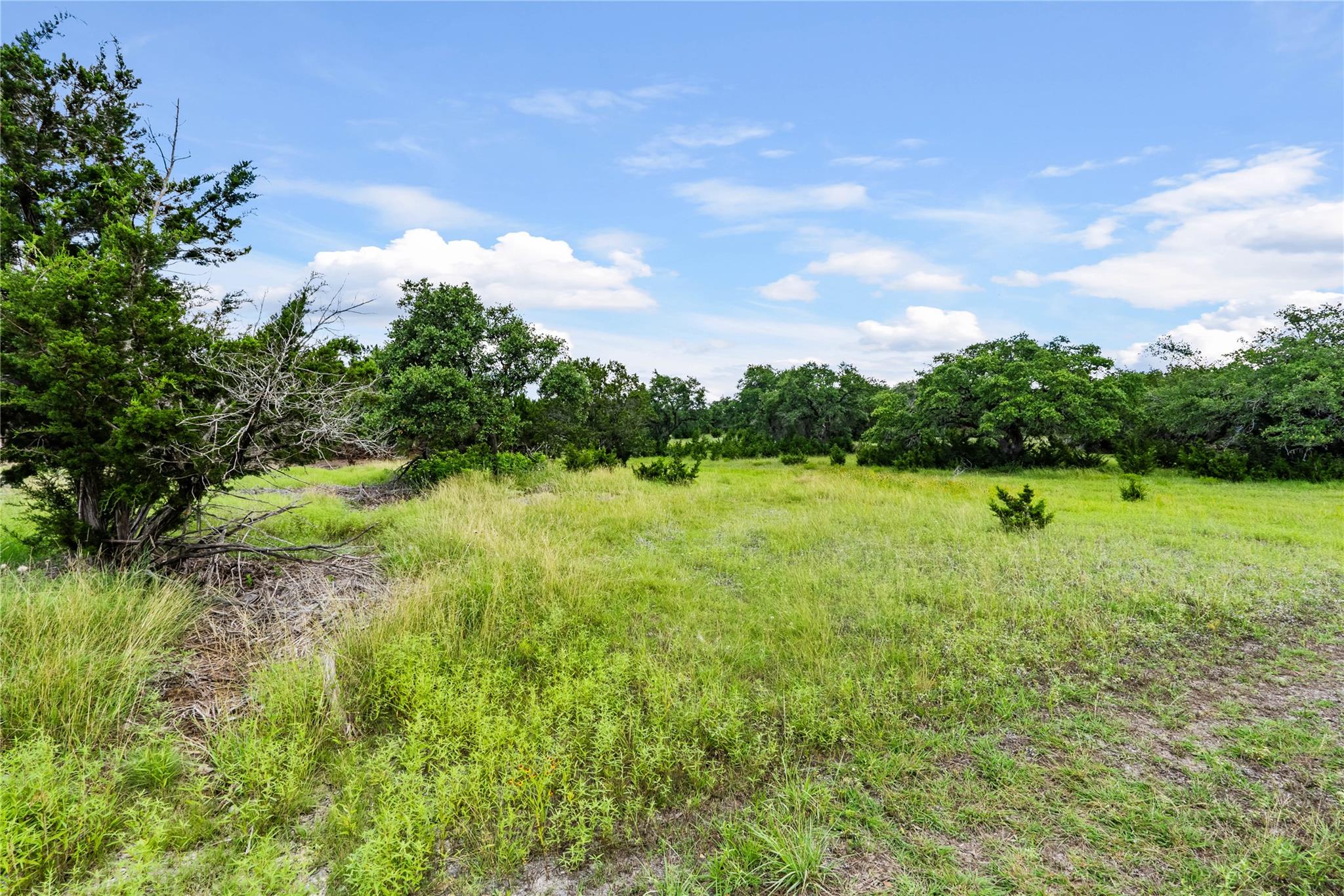 View of local wilderness