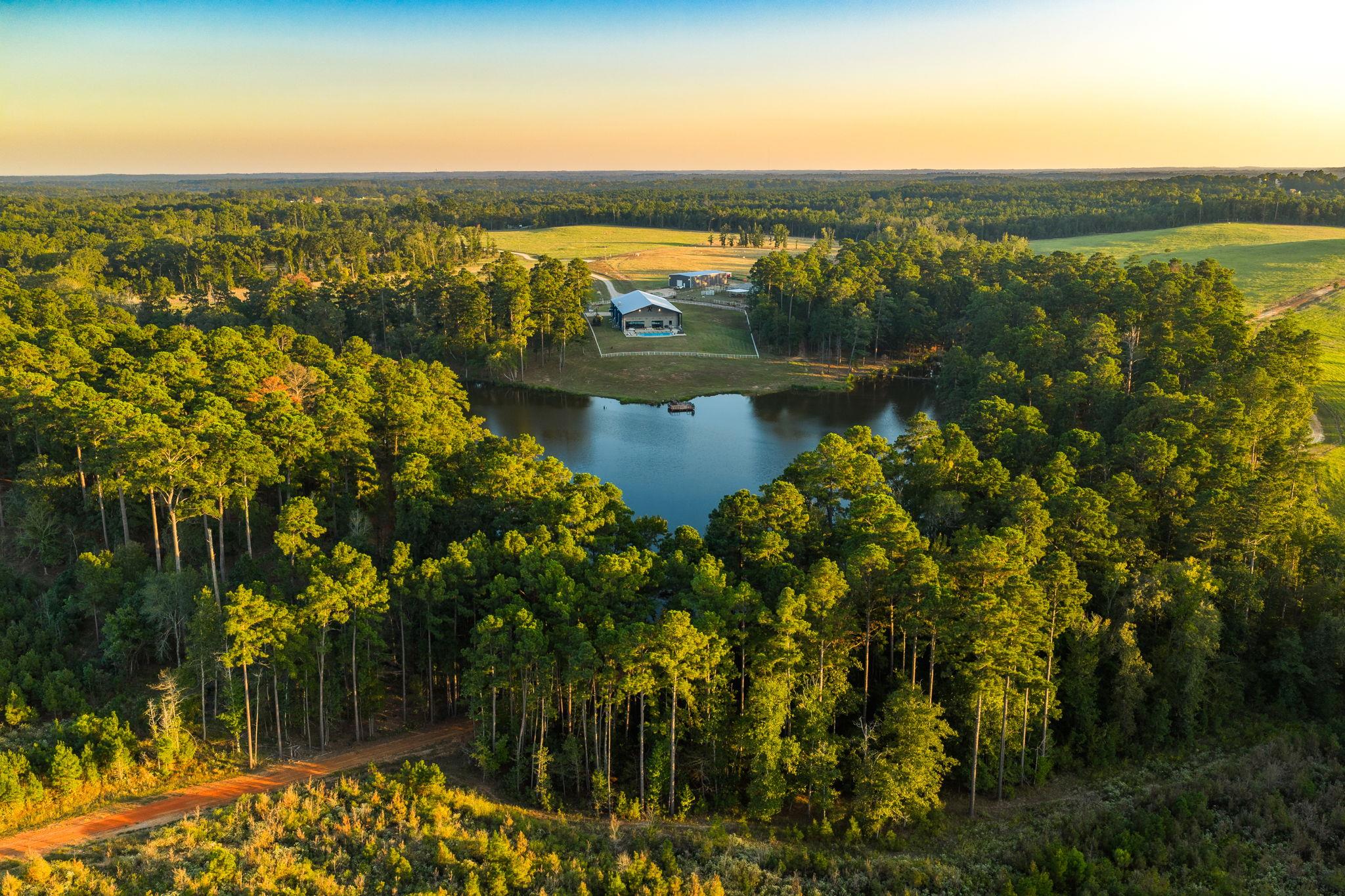 Overview of rural landscape with a forest