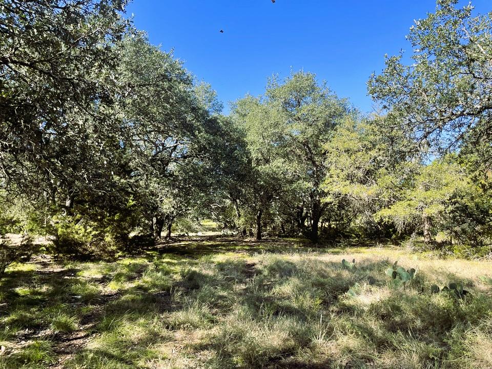 View of undeveloped land