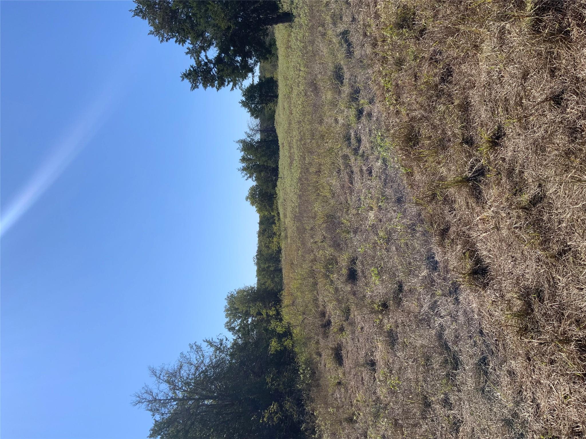 View of local wilderness featuring rural landscape