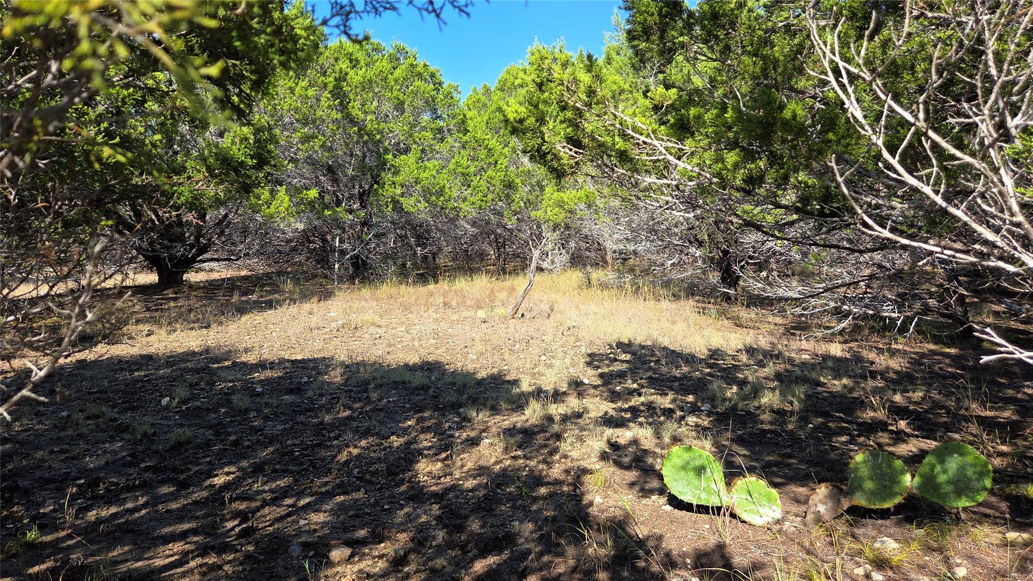 Listing photo 1 of 1801  Santa Cruz Cir