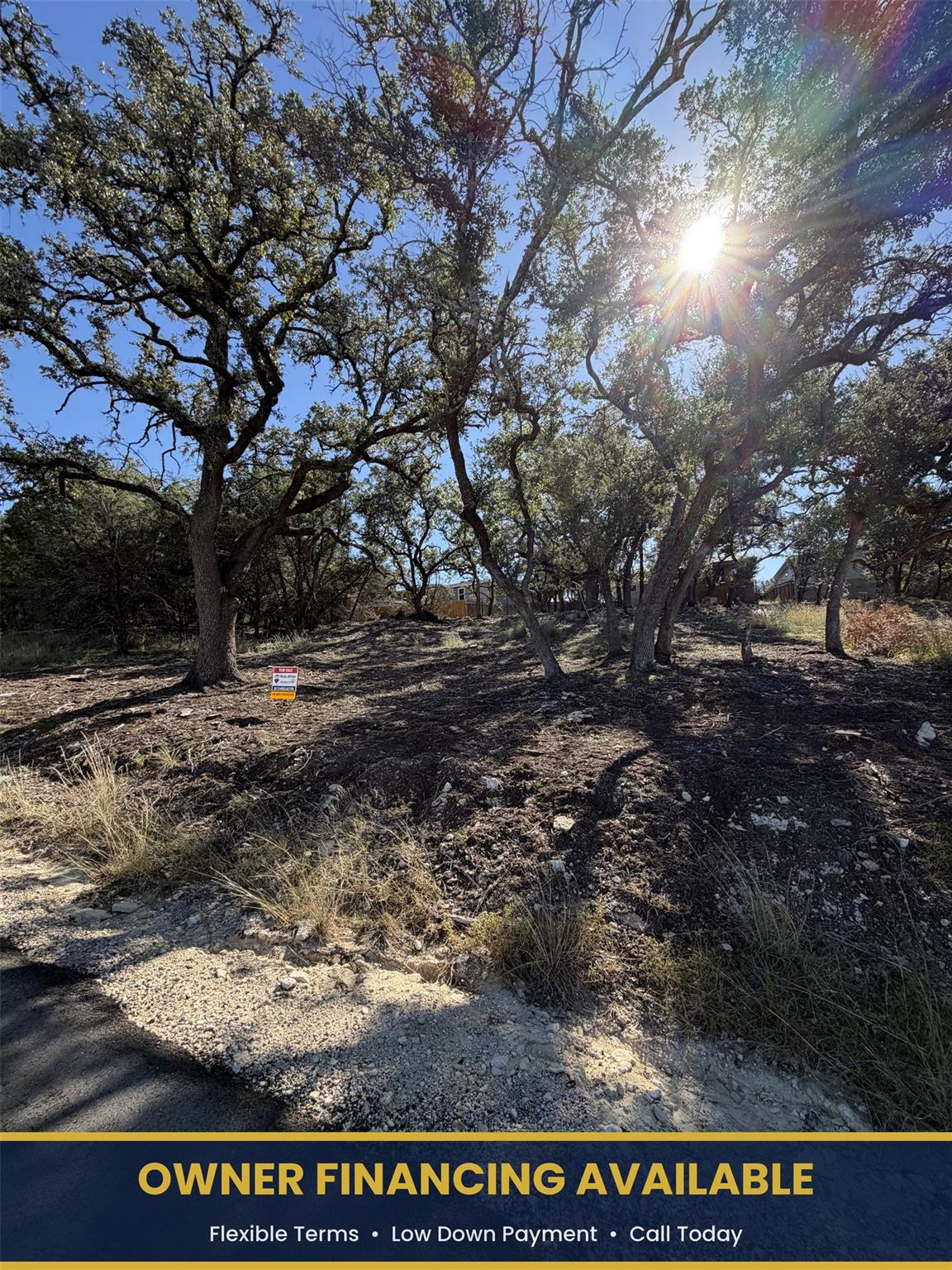 Property featuring mature trees and a natural, un