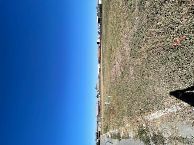View of yard with a view of rural / pastoral area