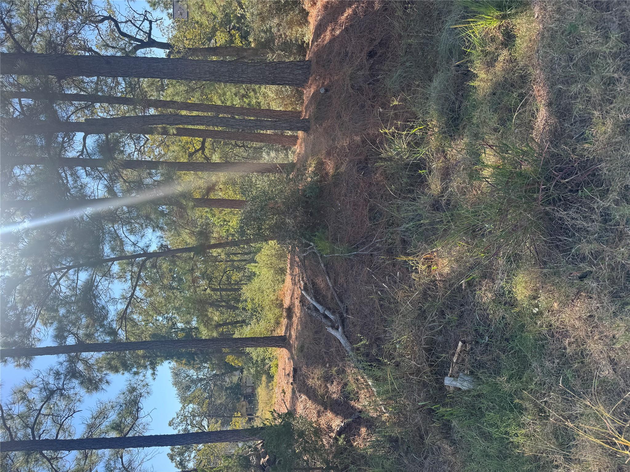 View of undeveloped land
