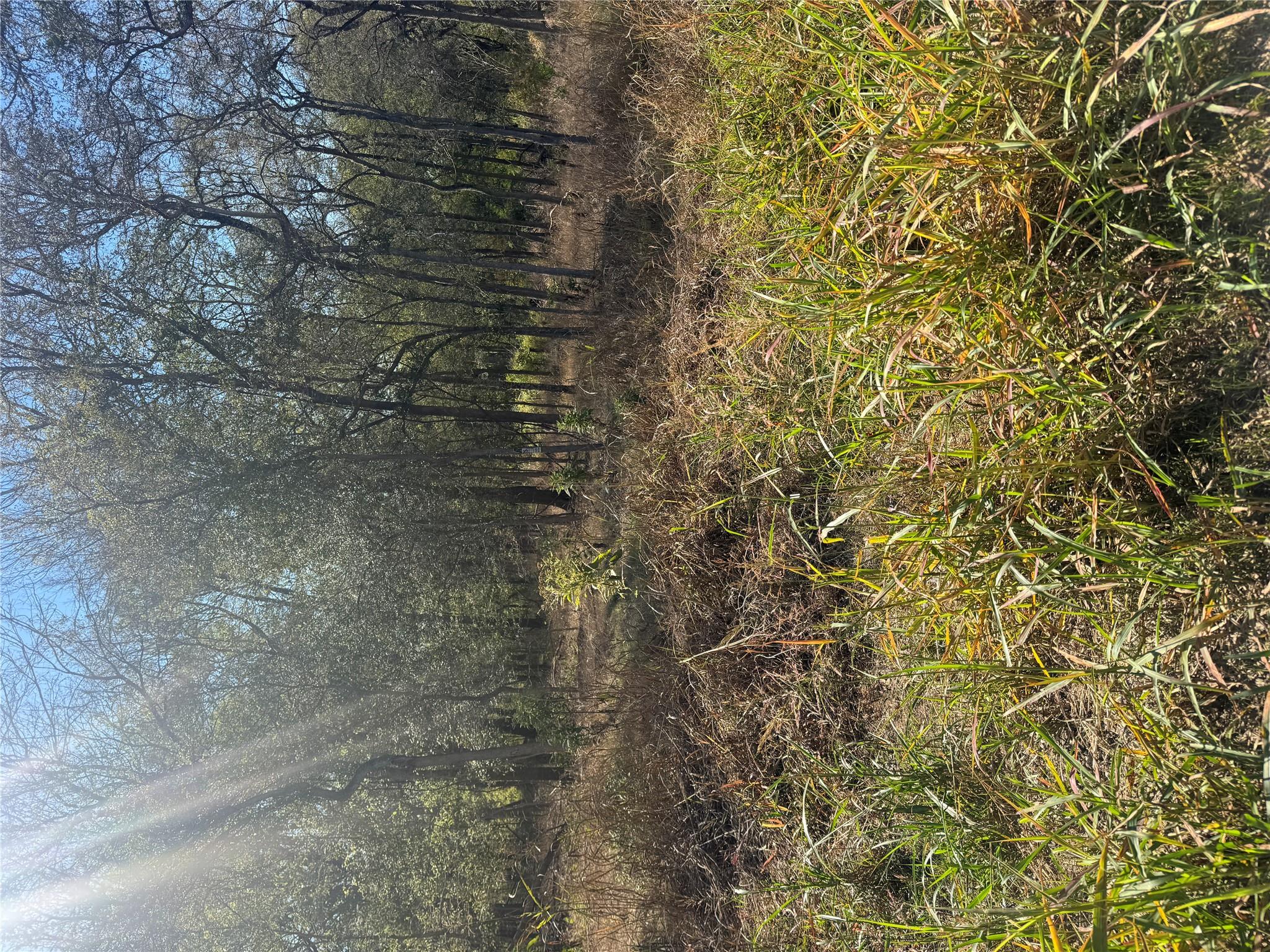 View of nature