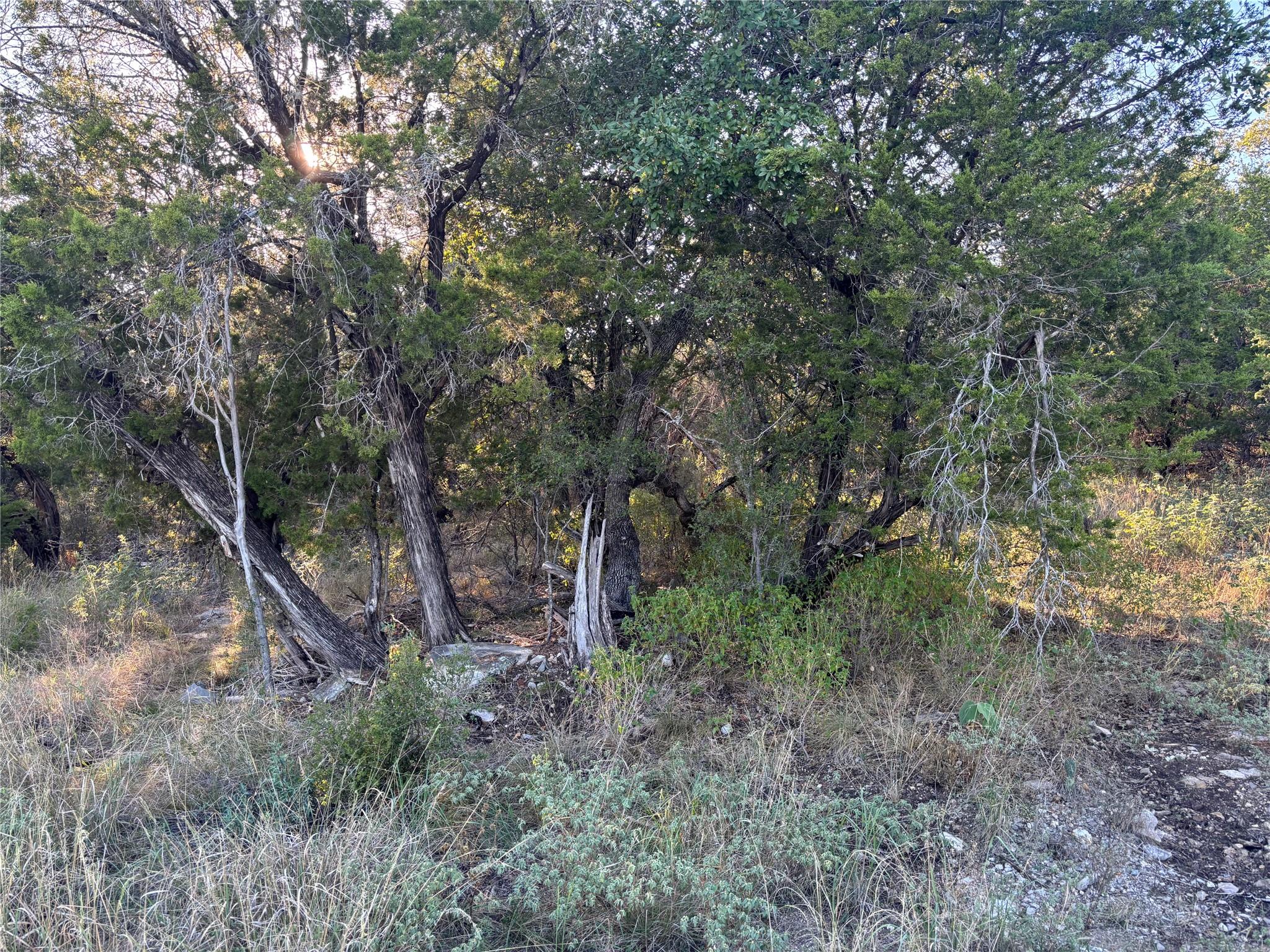 Listing photo 1 of Lot K4106  Coon Ct