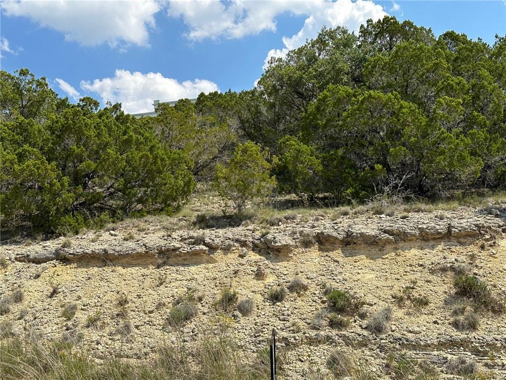 View of local wilderness