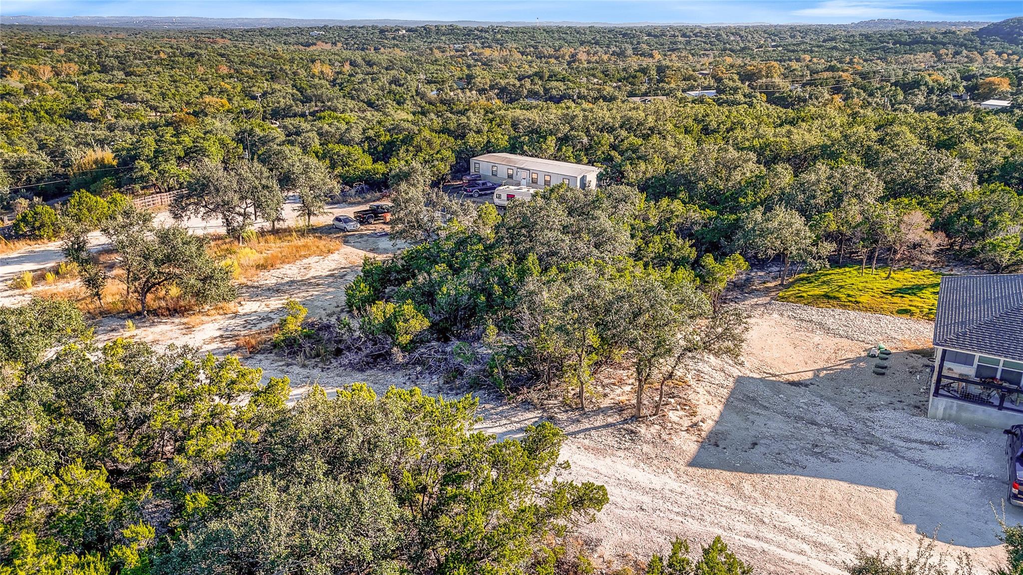 Aerial view of a forest