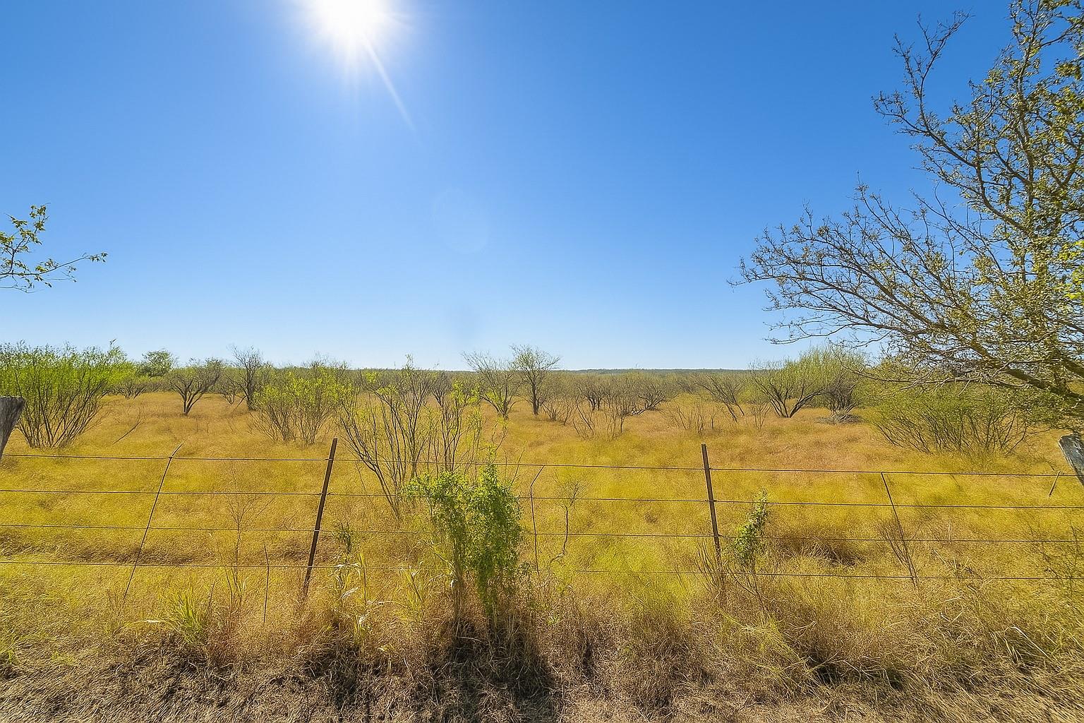 View of local wilderness