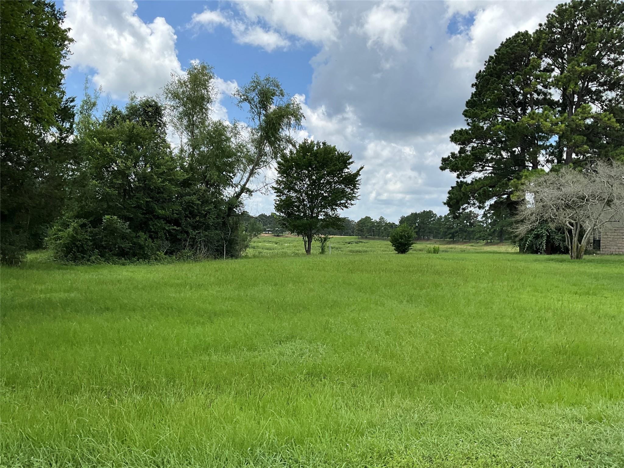 View of yard featuring a view of rural / pastoral