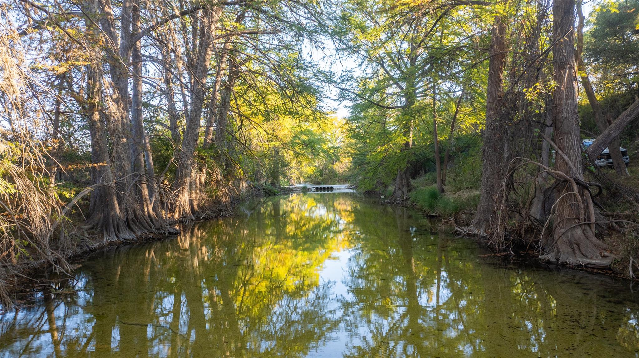 Water view featuring a forest