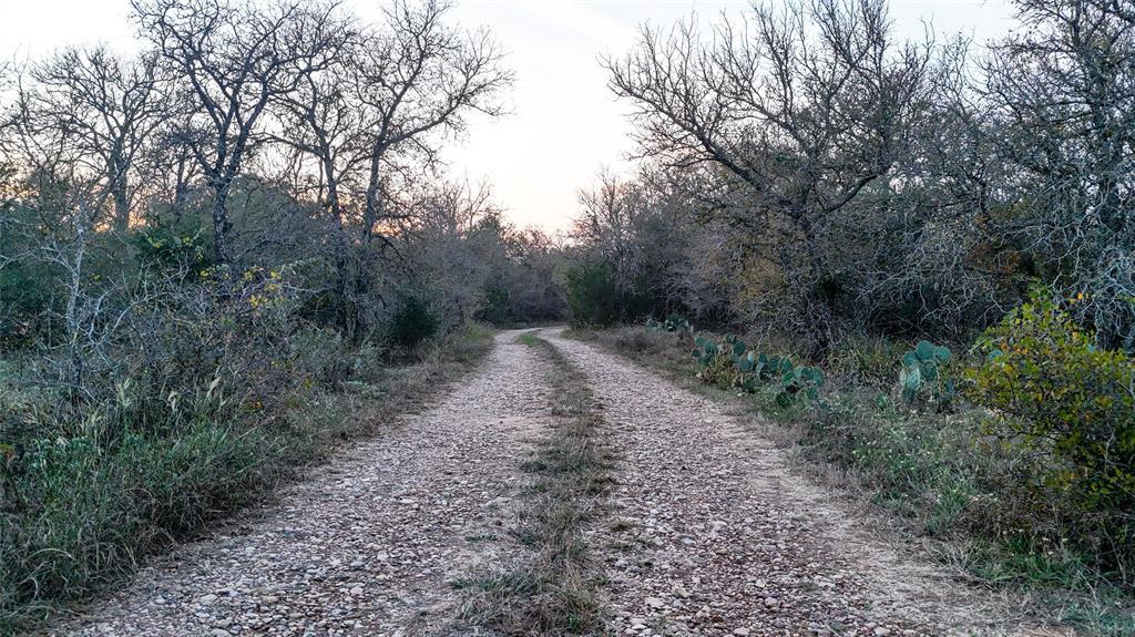 View of road