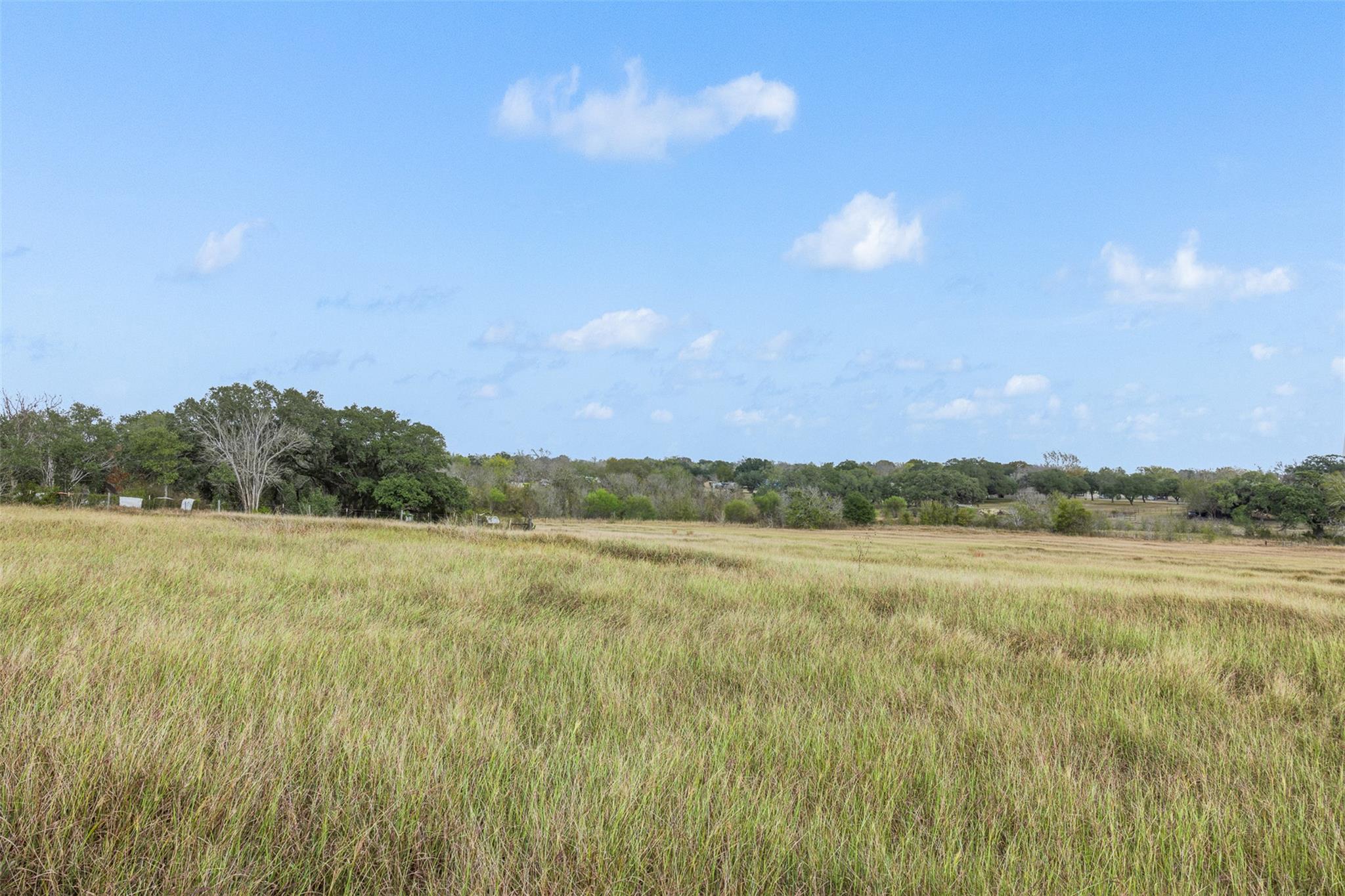 View of tree filled area with a rural view