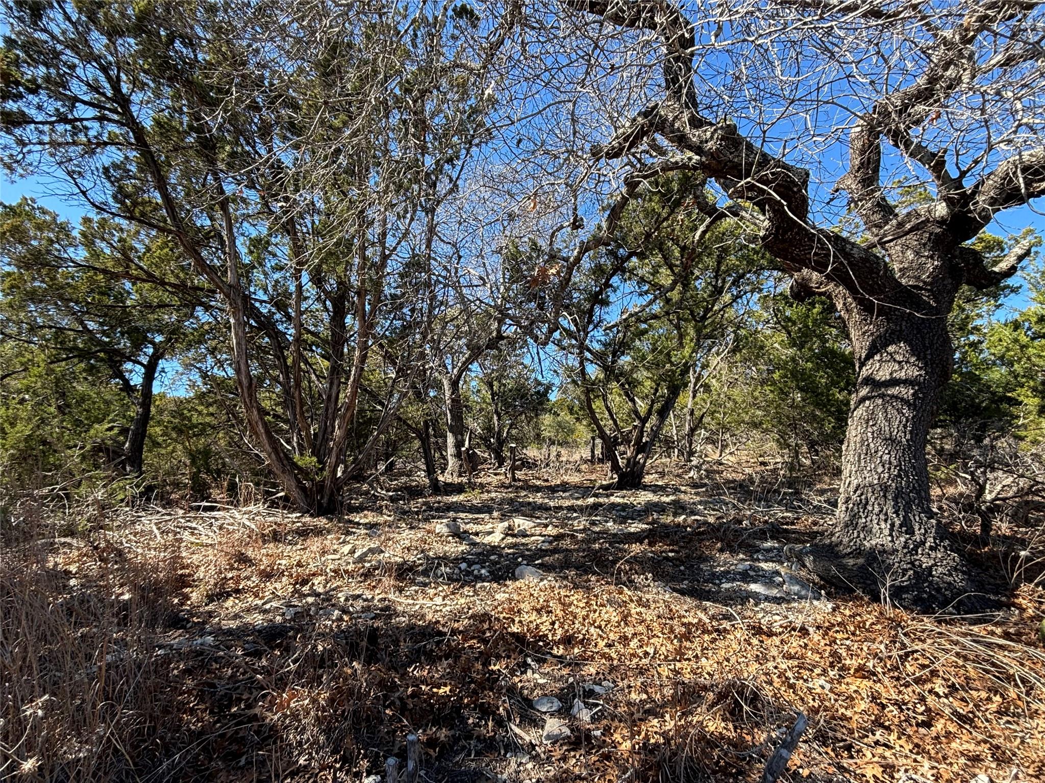 View of nature
