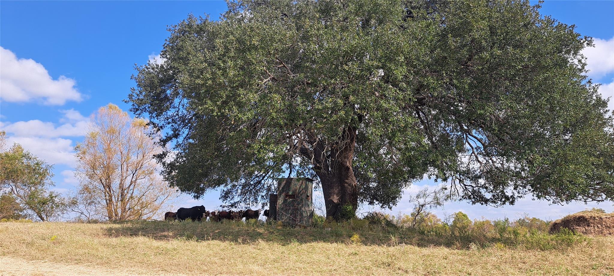 View of local wilderness with rural landscape