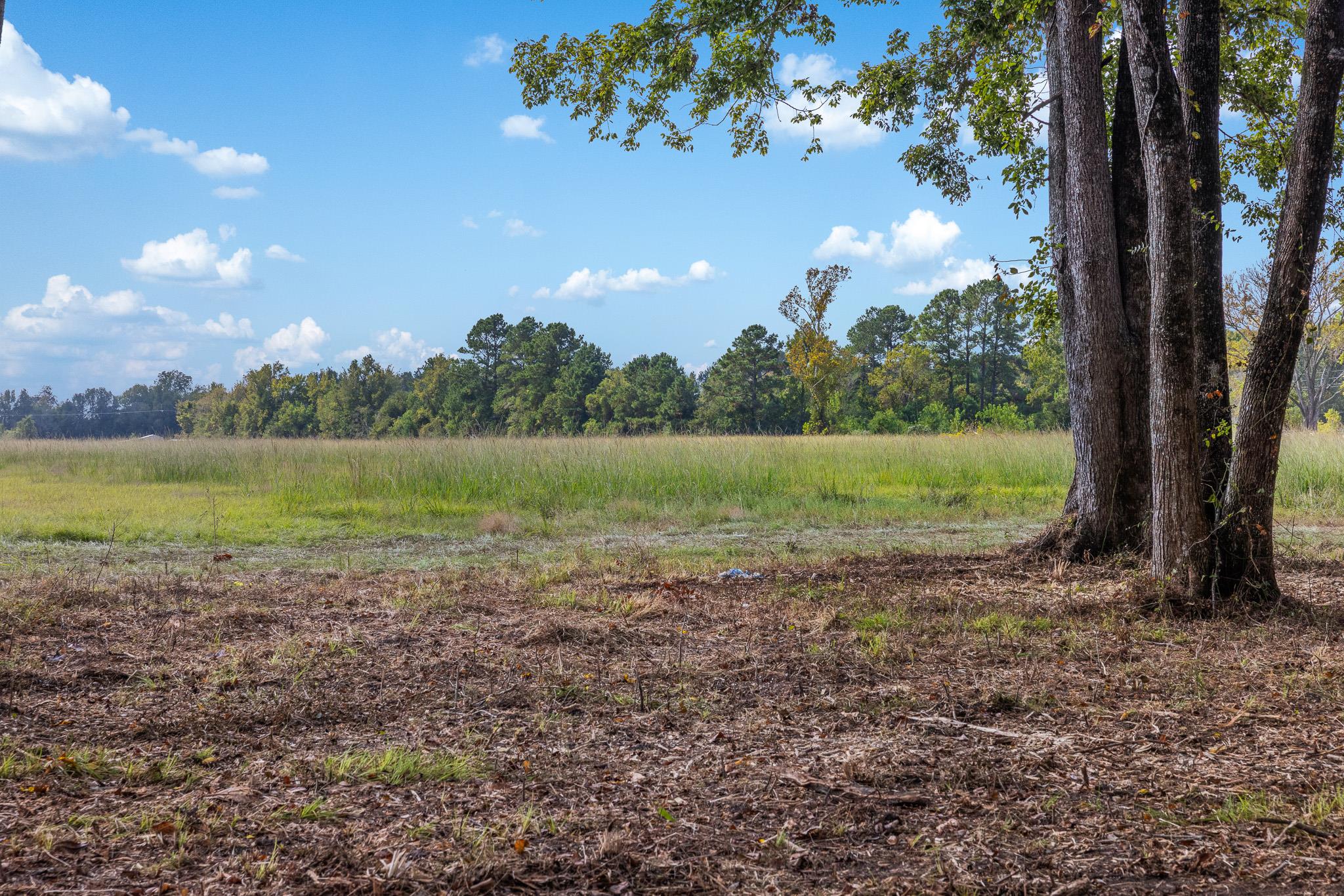 View of nature with rural landscape