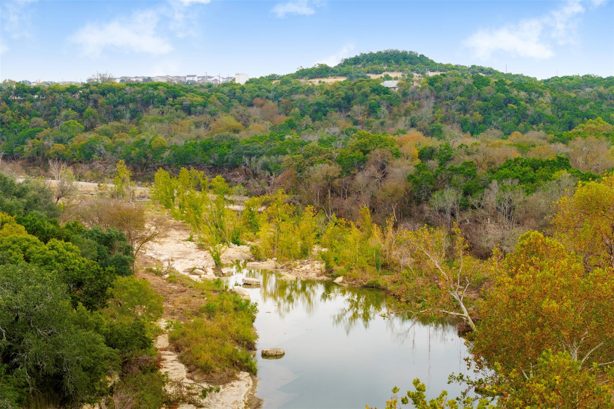 View of mountain backdrop featuring a heavily woo