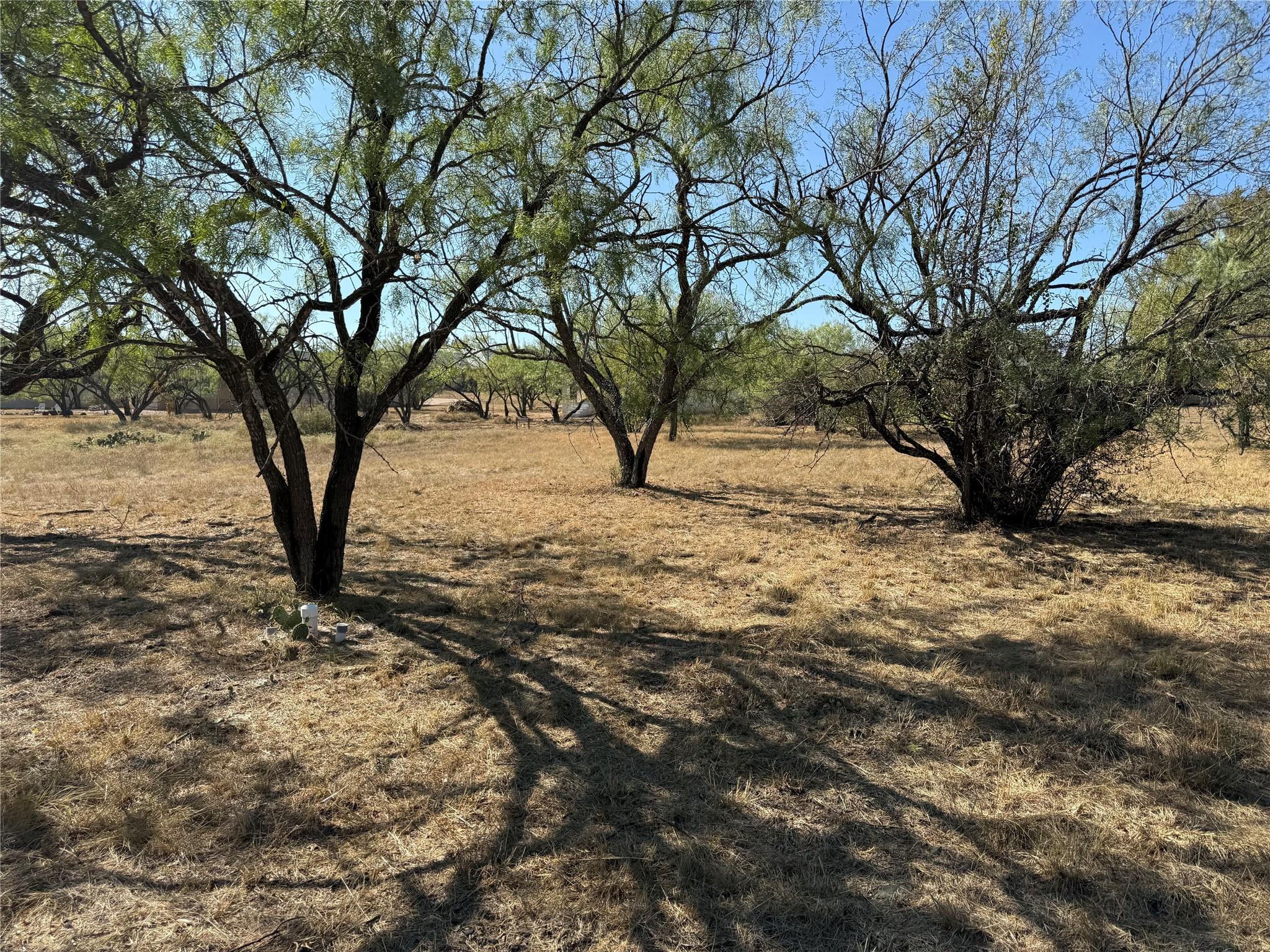 View of yard with a rural view