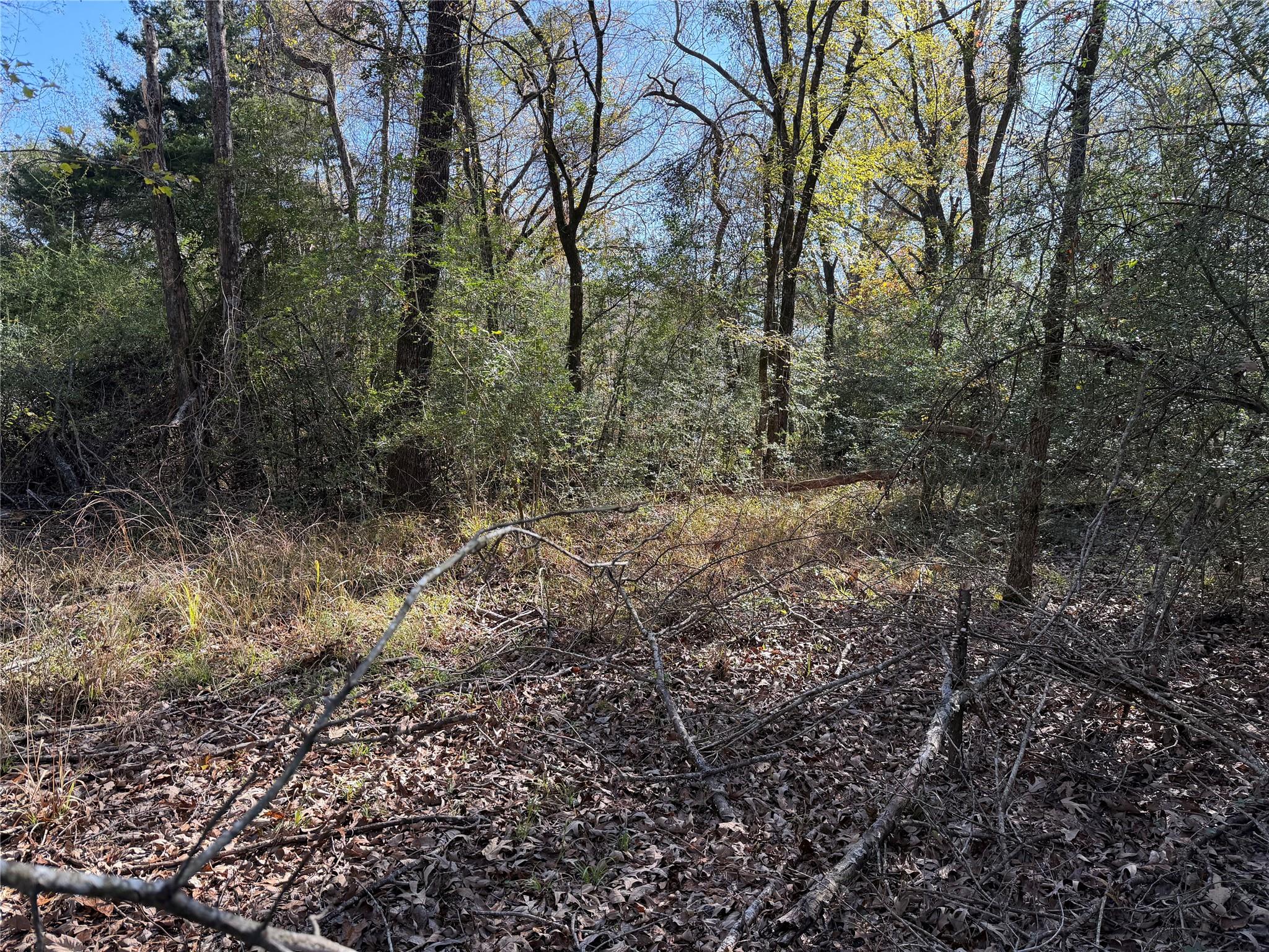 View of undeveloped land