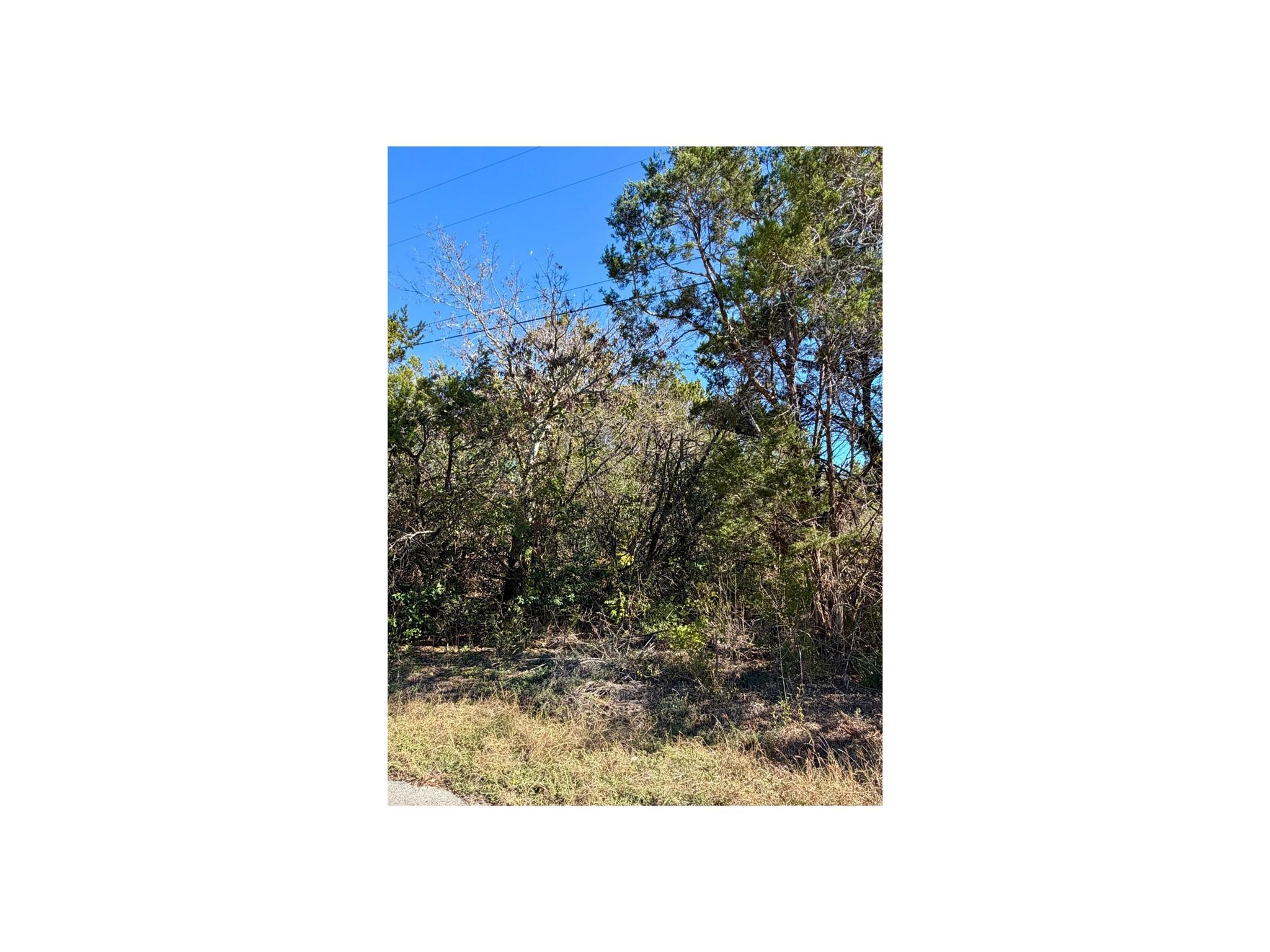 Listing photo 1 of 7401  Williamson Creek Dr  #2