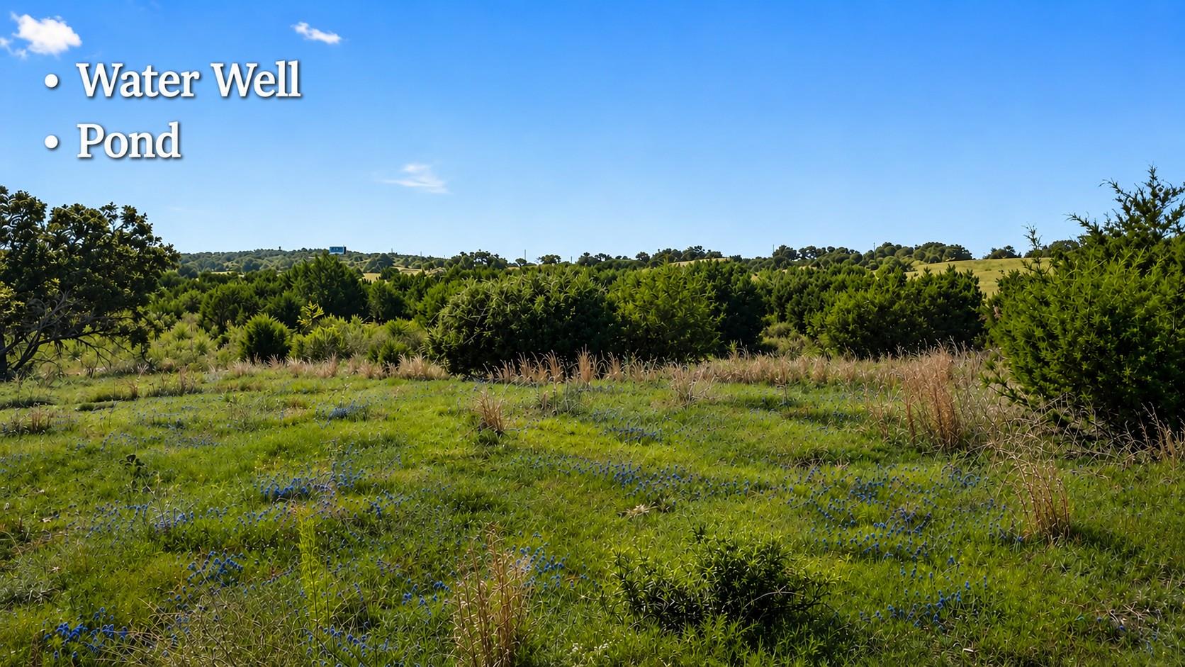 A verdant, open expanse offering a tranquil pond 
