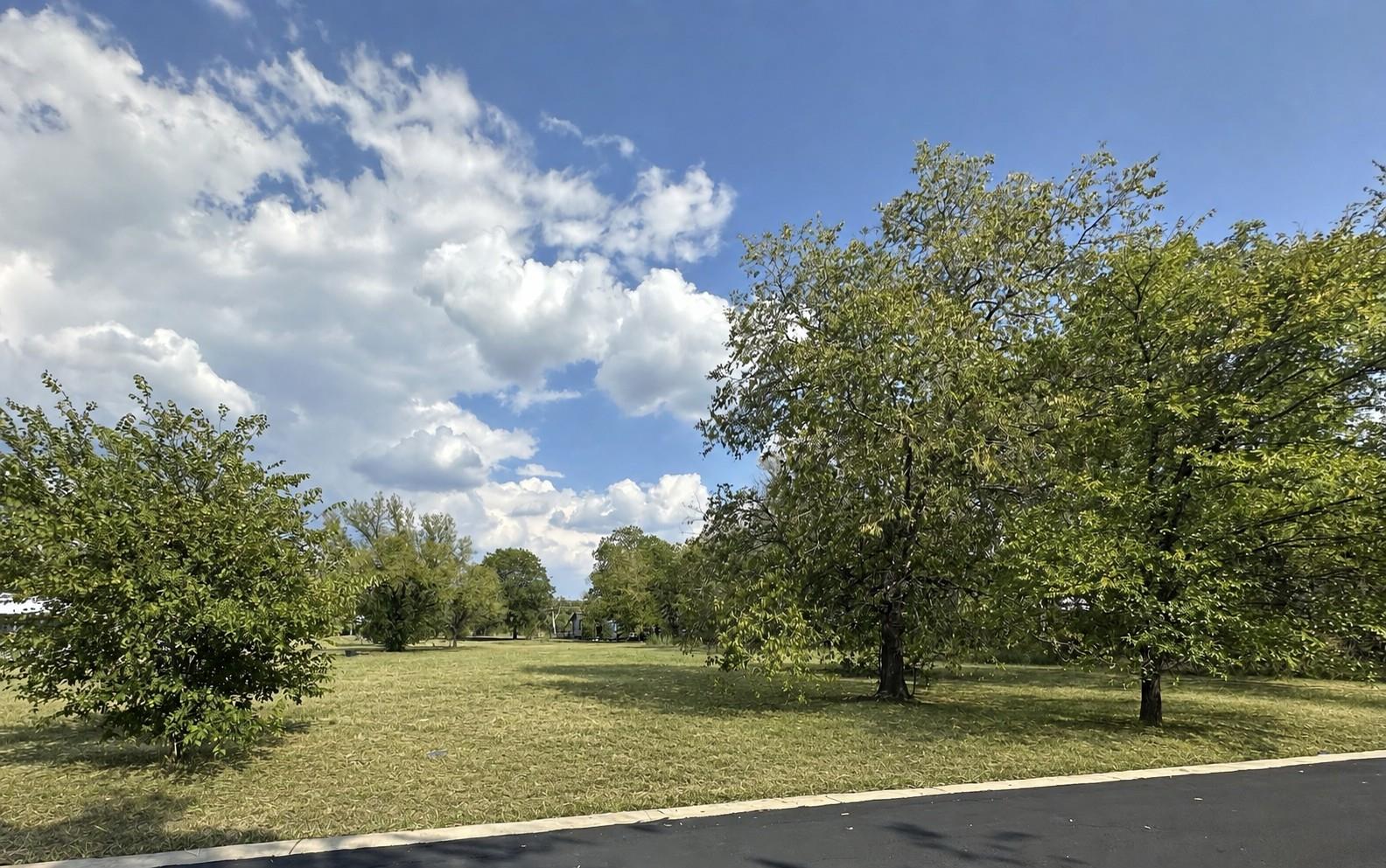 A spacious lot with mature trees, perfect for bui