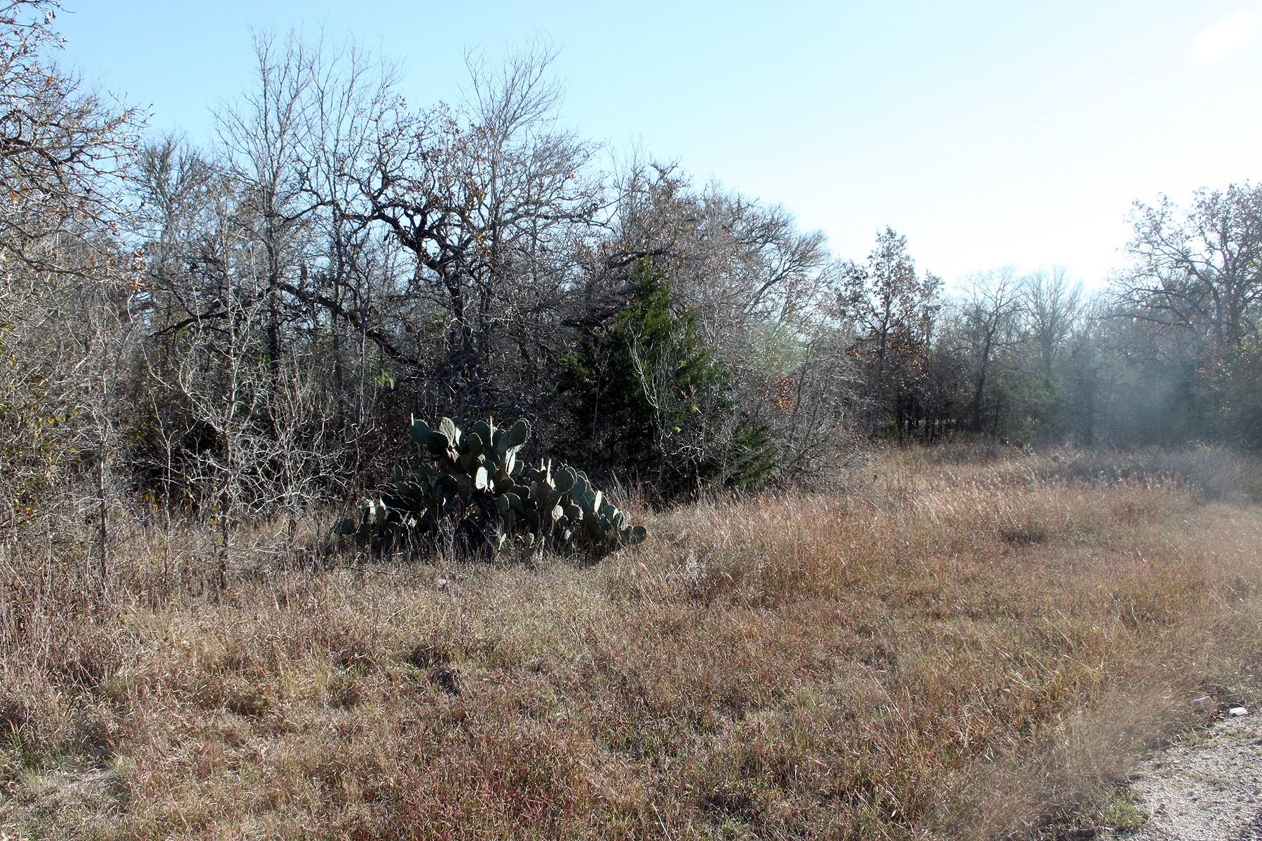 View of nature
