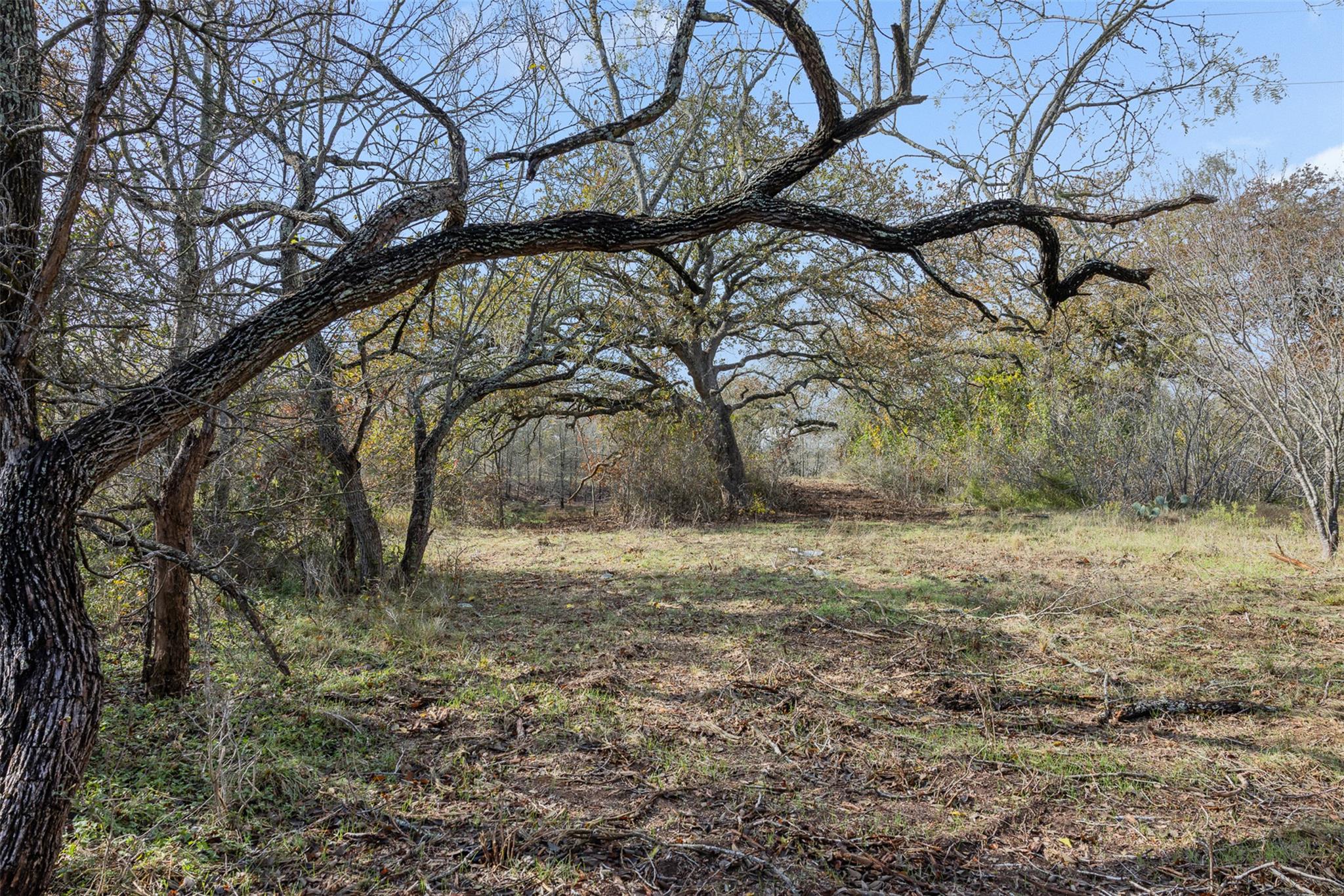 View of nature