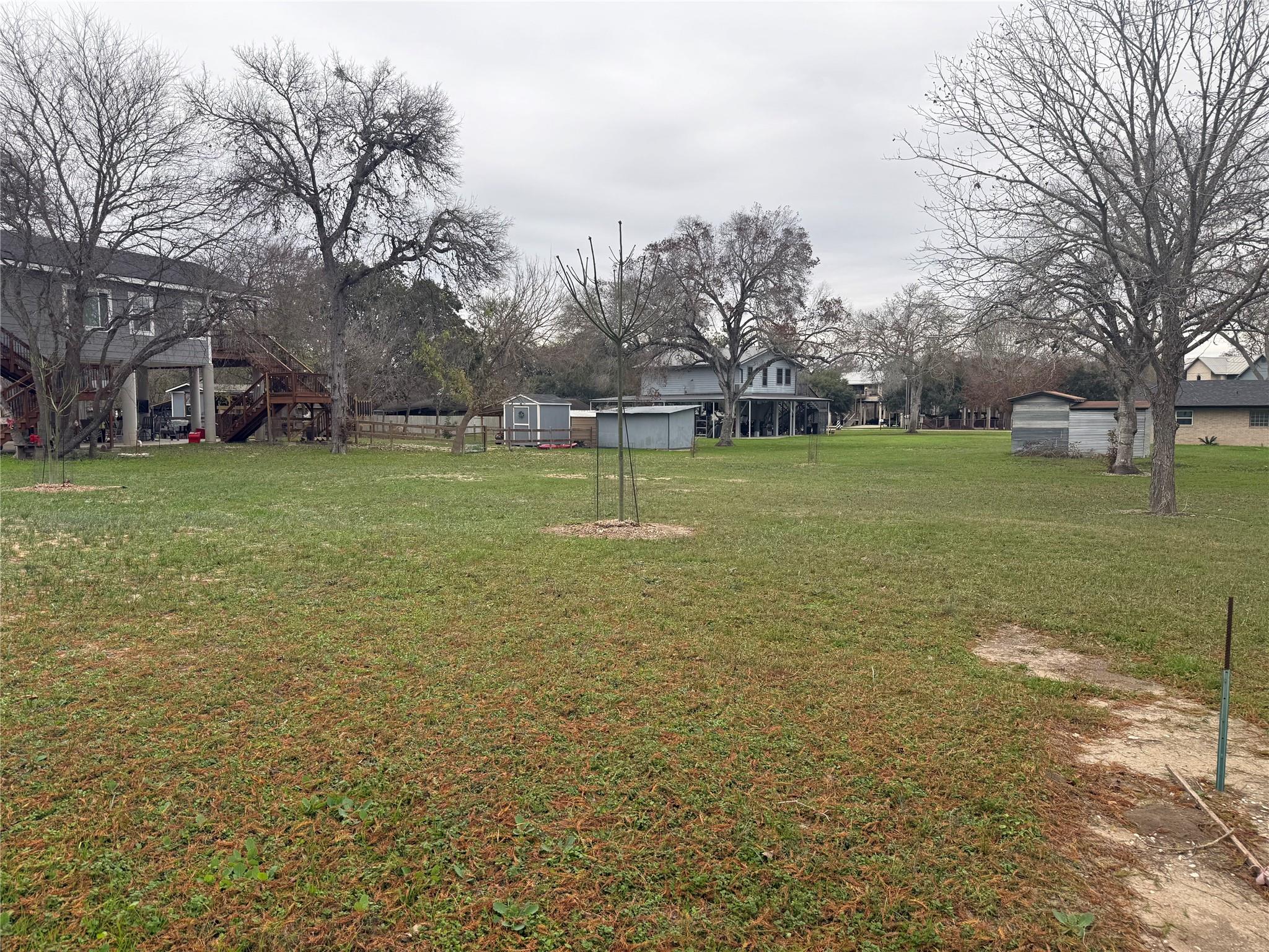 View of grassy yard