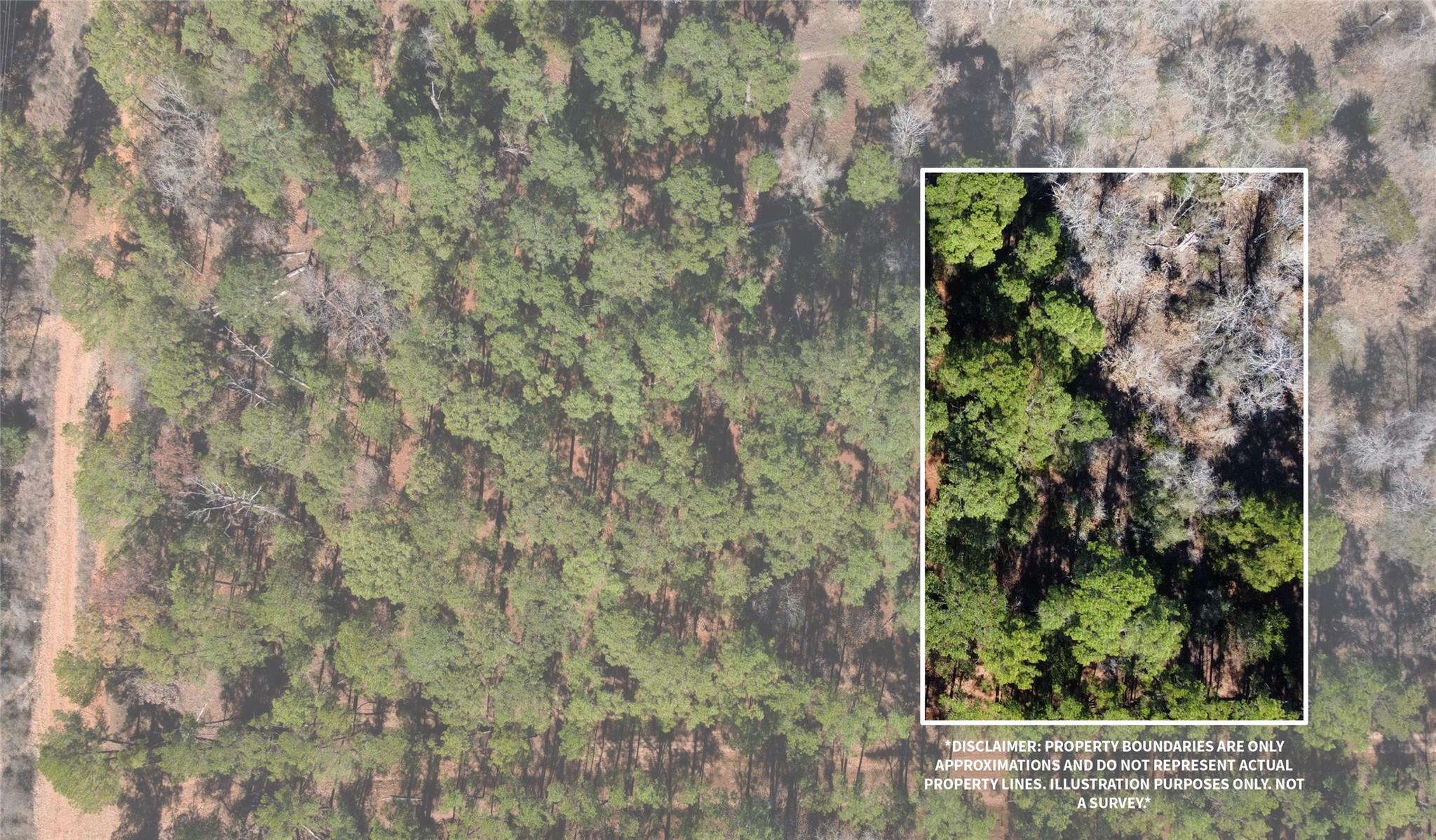 Listing photo 1 of 0  Pine Lodge Drive Lot 26 None