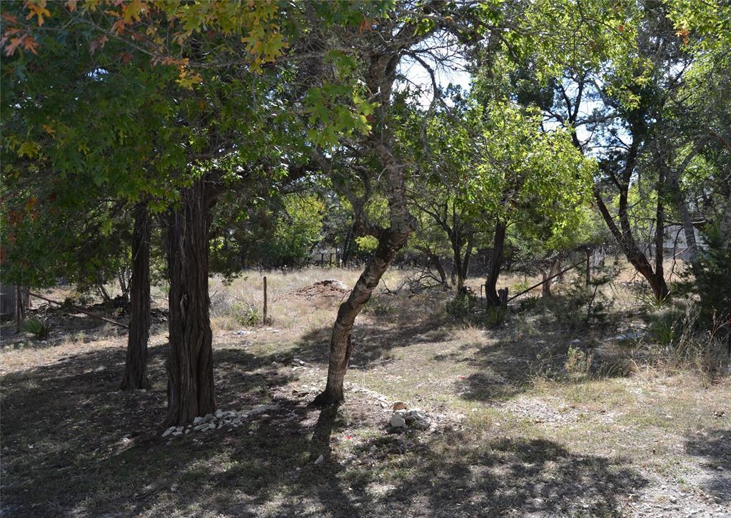 View of undeveloped land