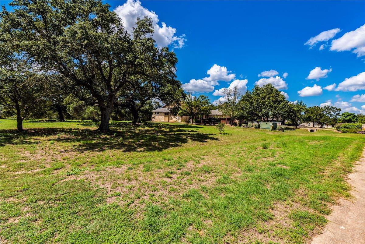 View of grassy yard