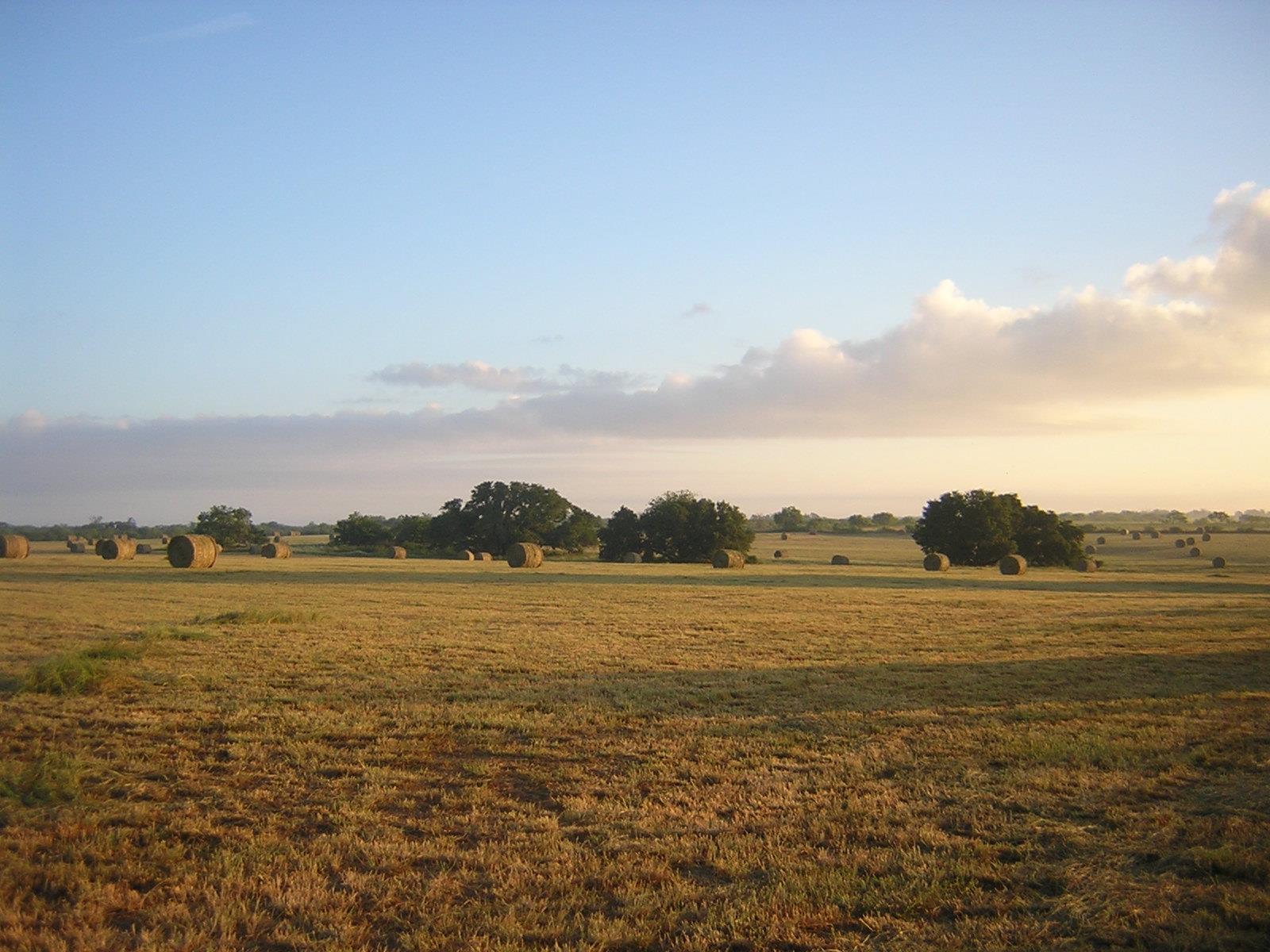 View of nature featuring rural landscape