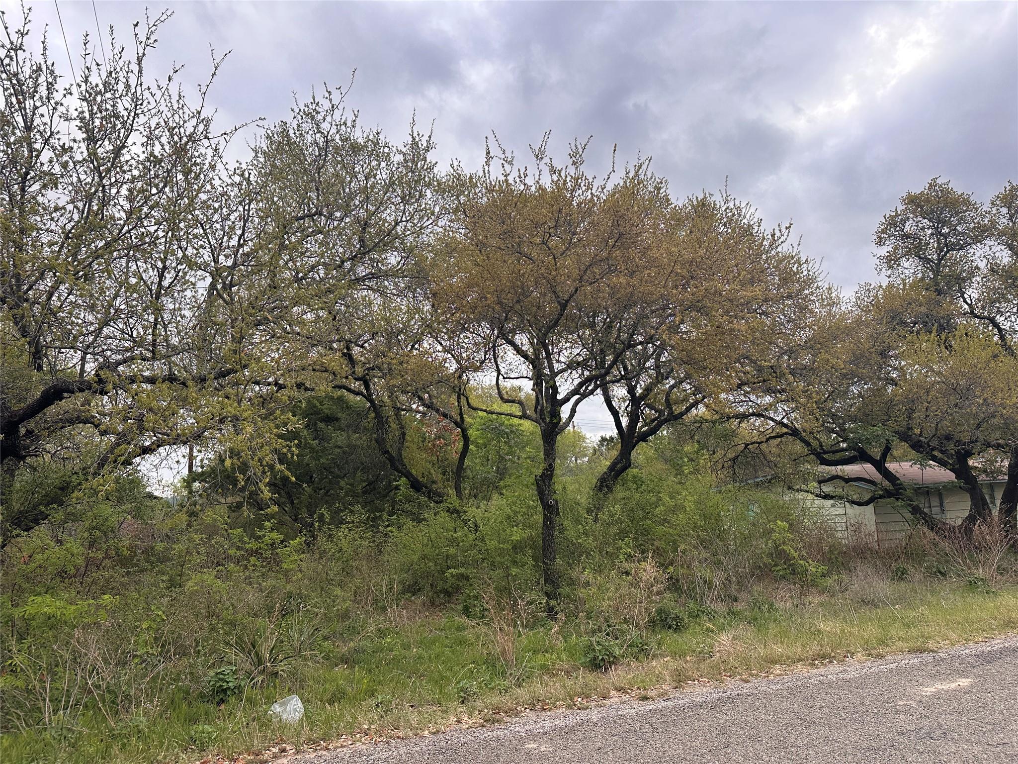 View of nature