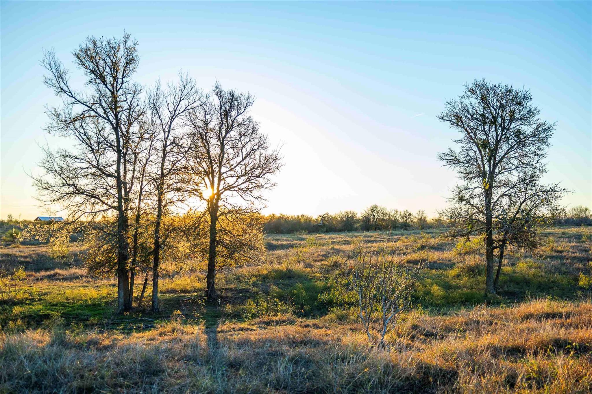 Listing photo 1 of 3191  County Road 463 None