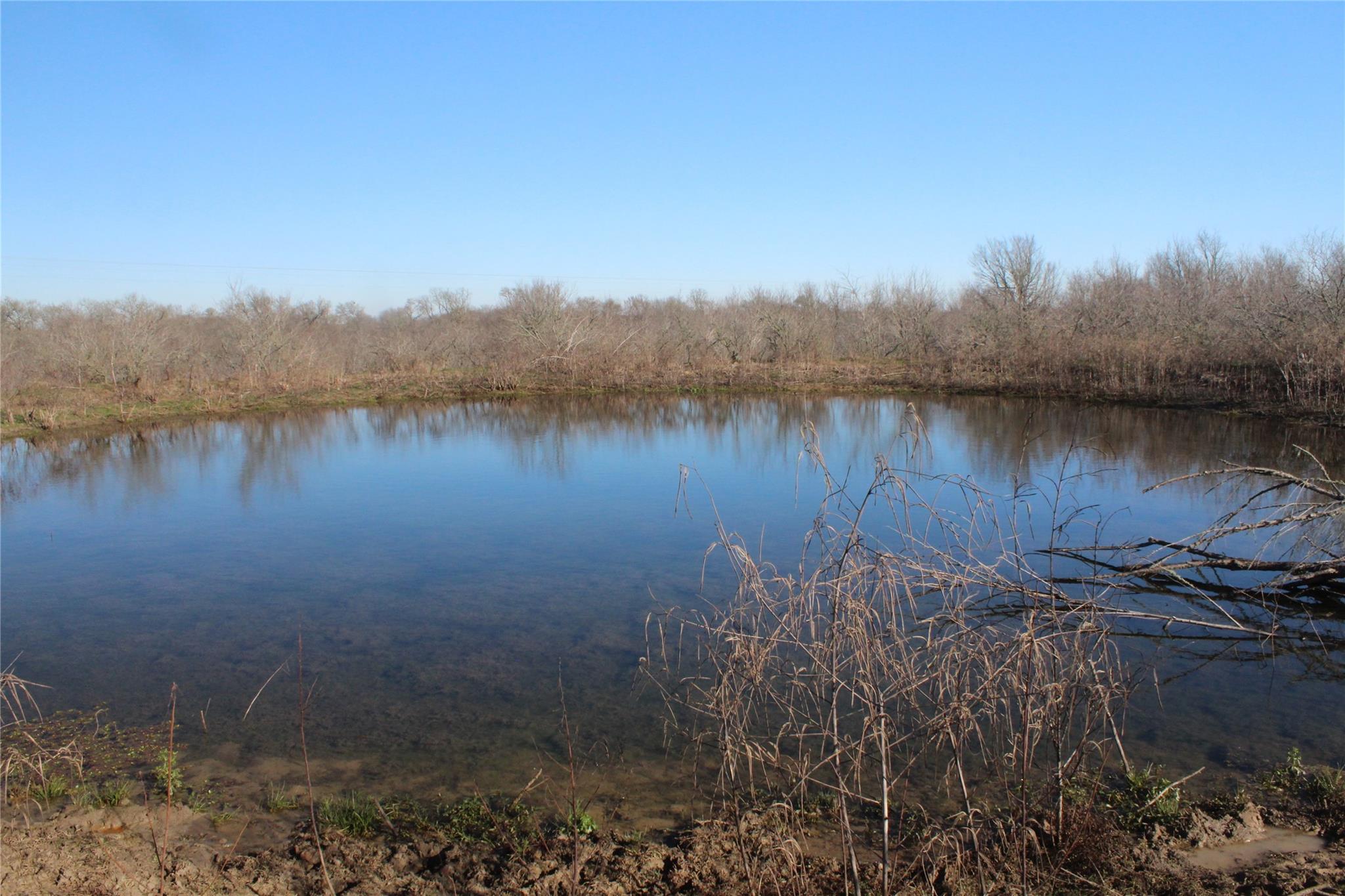 Listing photo 1 of 1223  County Road 429 None