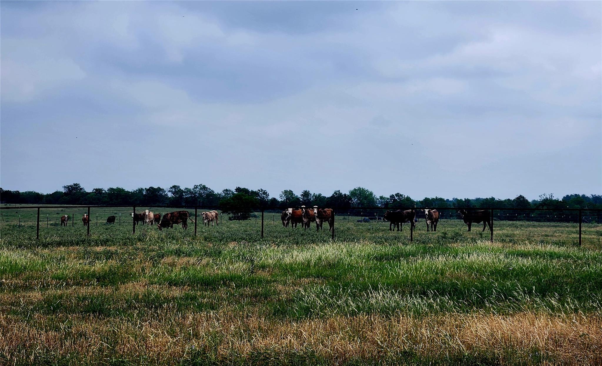 Listing photo 1 of TBD  County Road 446 None