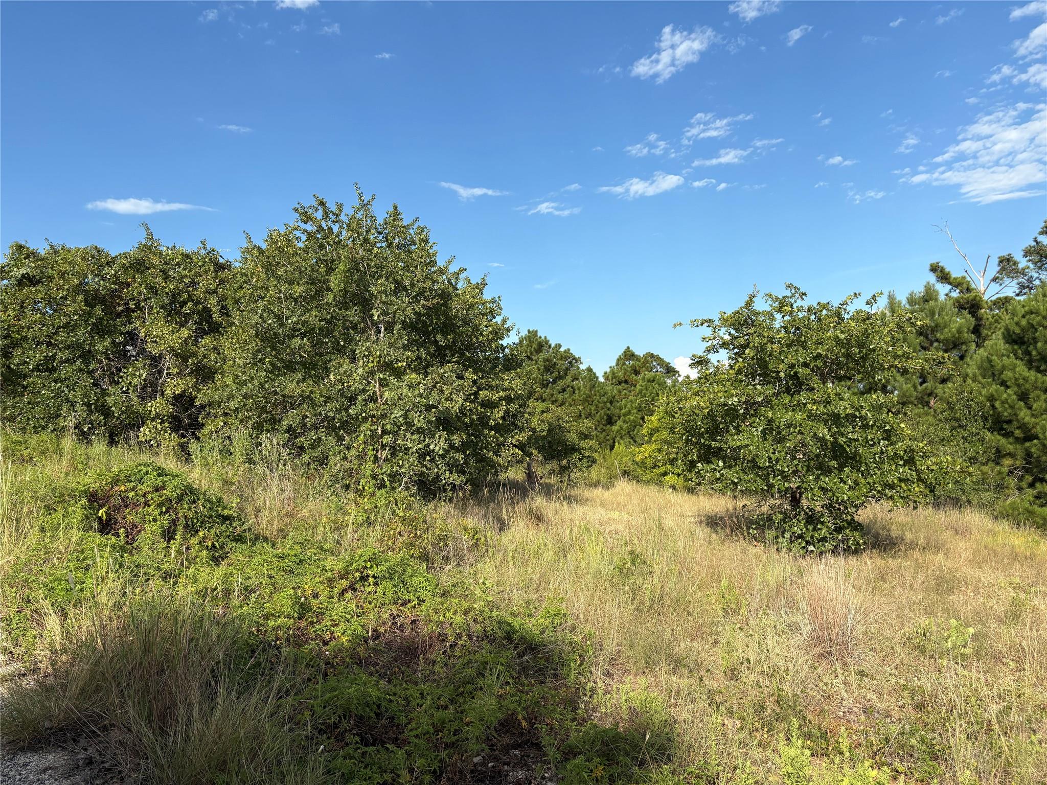 Listing photo 1 of TBD  Kimo Ct