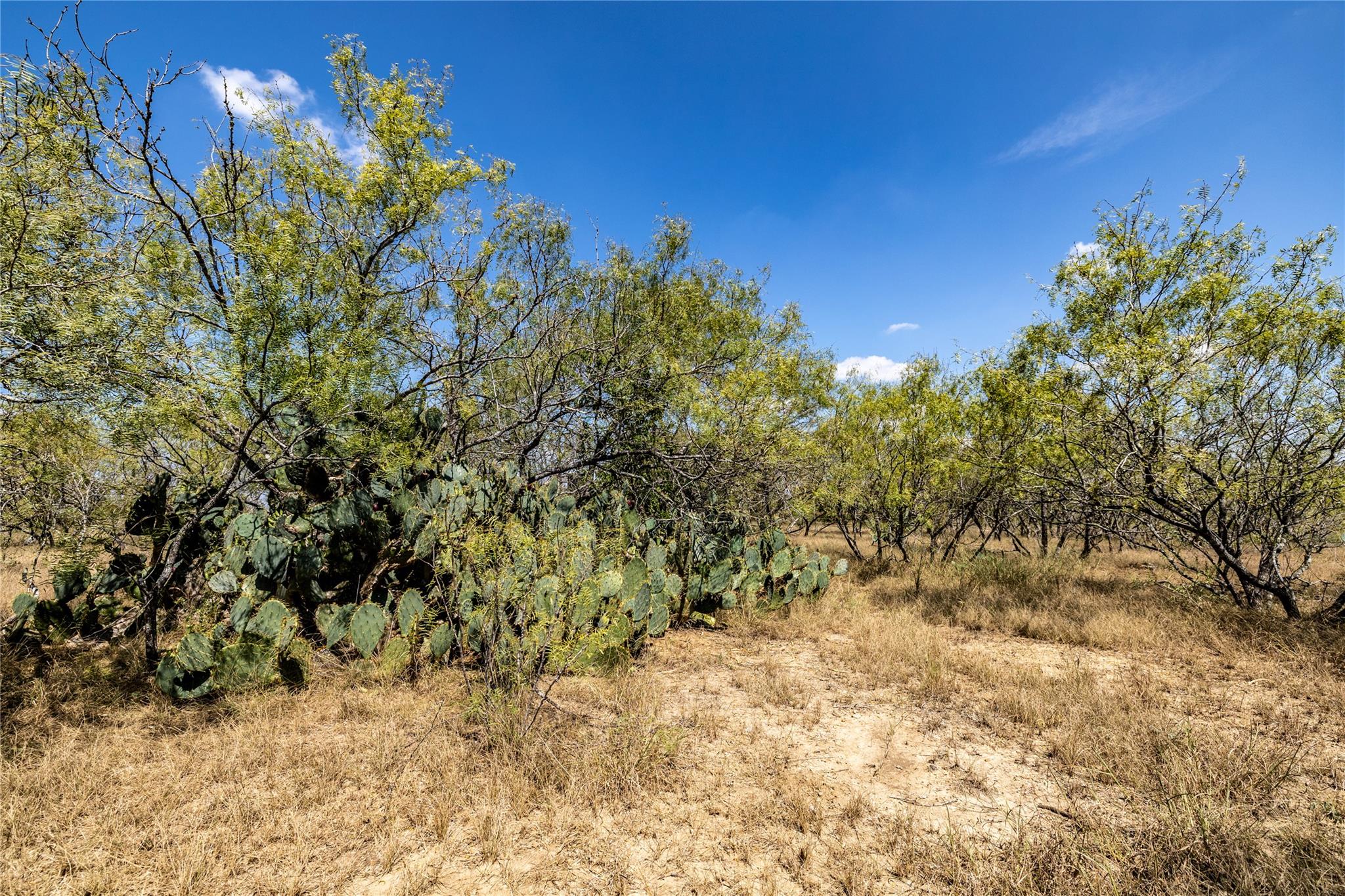 Listing photo 1 of TBD Lot 2  Track Rd