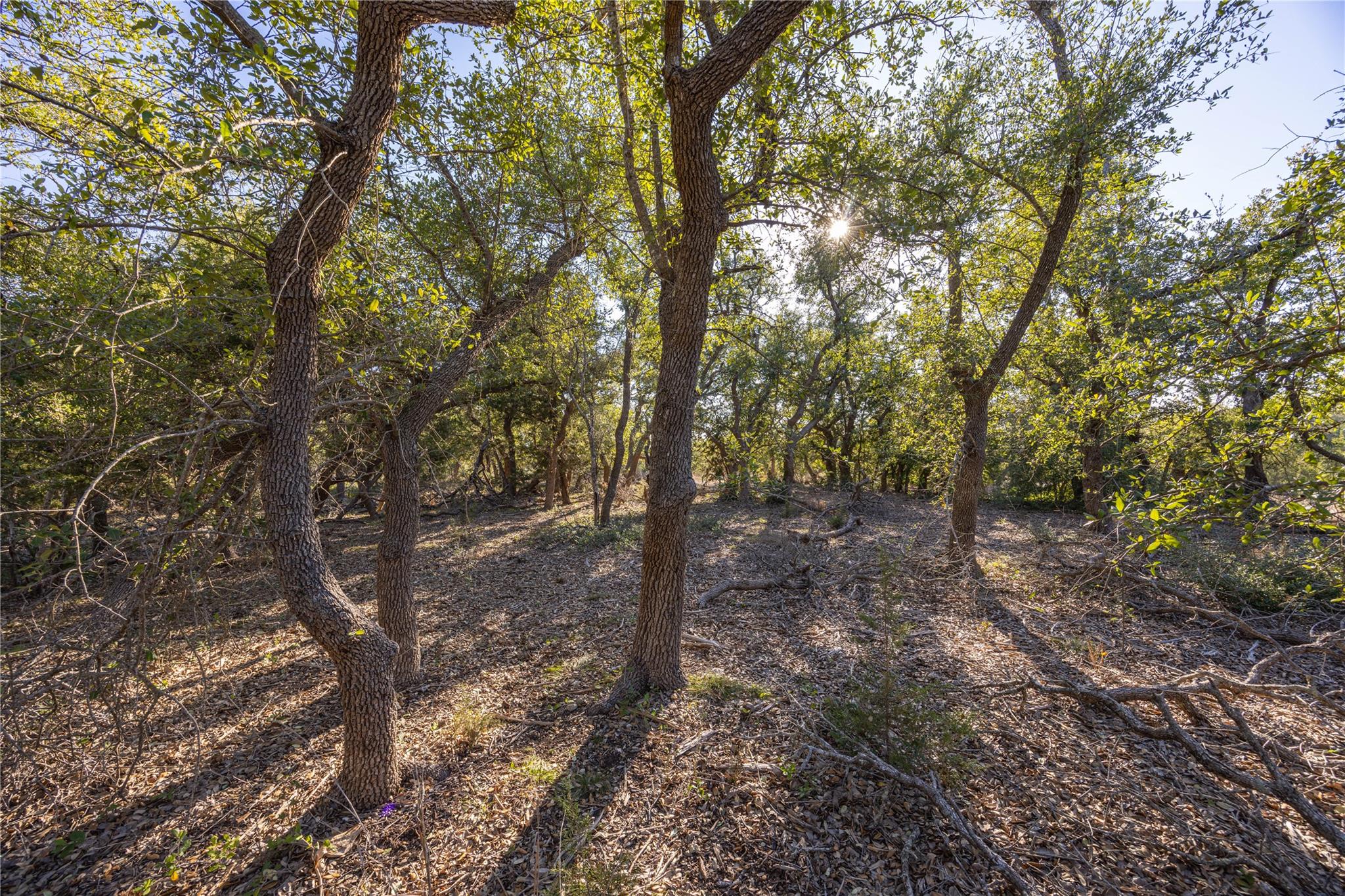 Listing photo 1 of 130  Panorama Dr