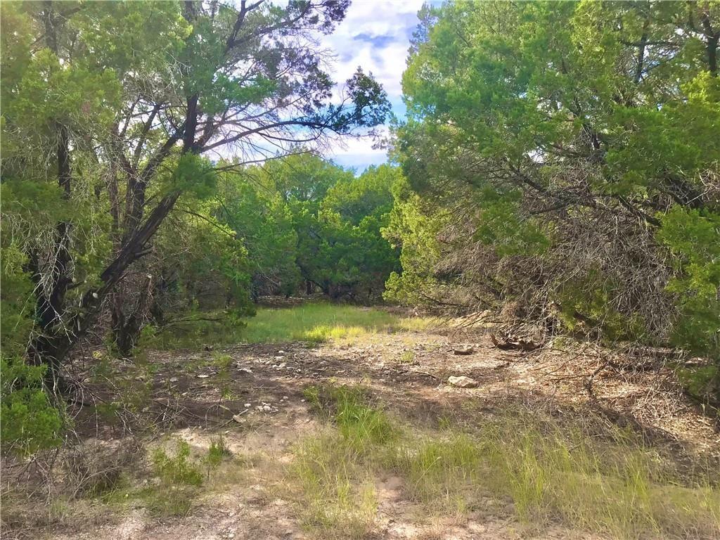 View of wooded area