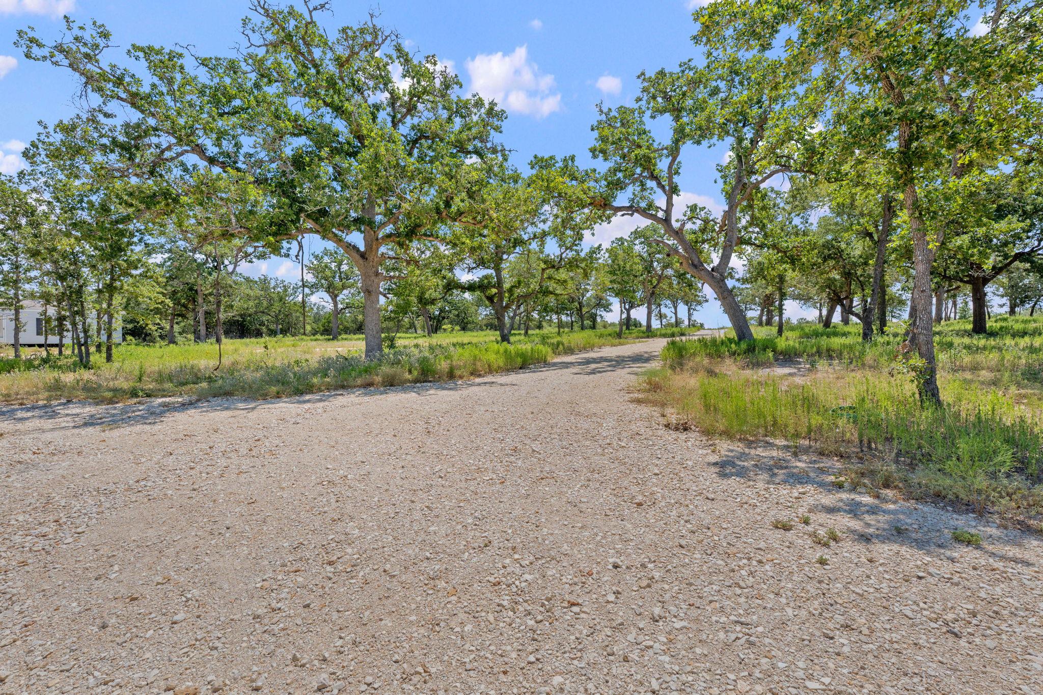 View of dirt / gravel road