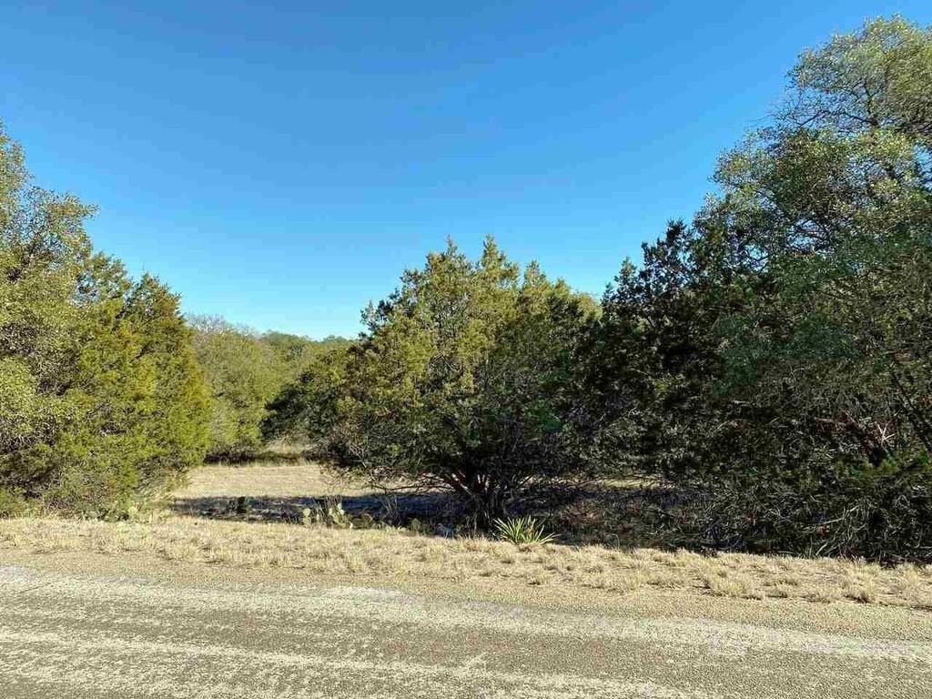 Listing photo 1 of K13105  Buntline Special None