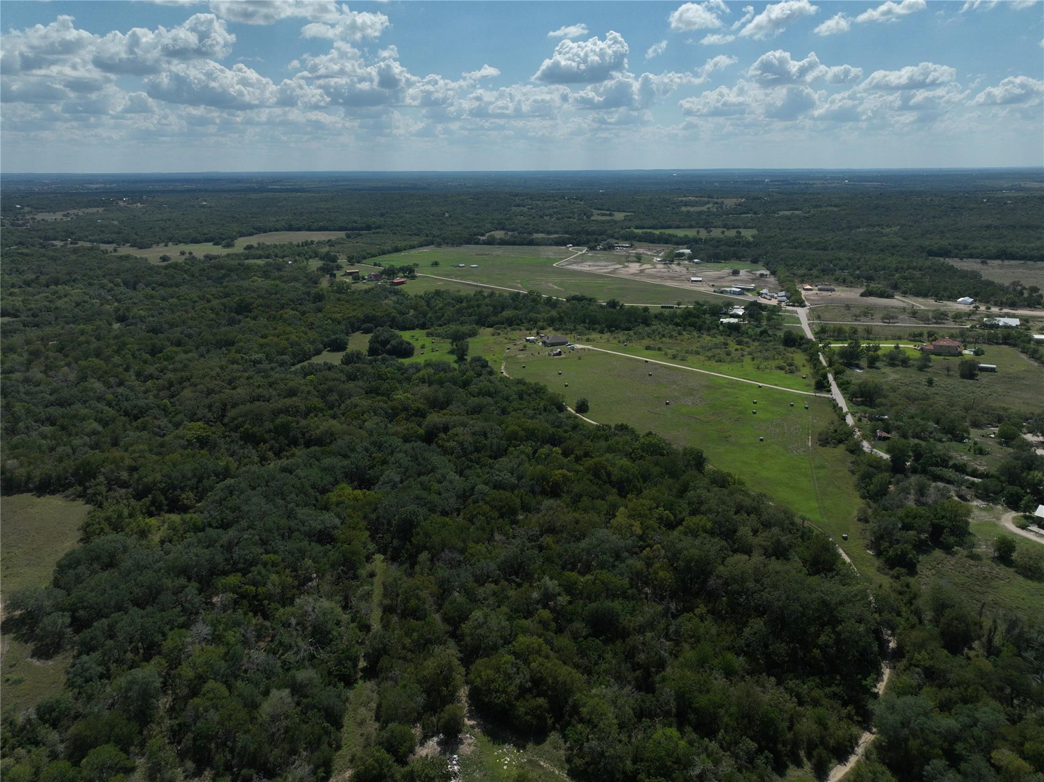 Bird's eye view of a forest